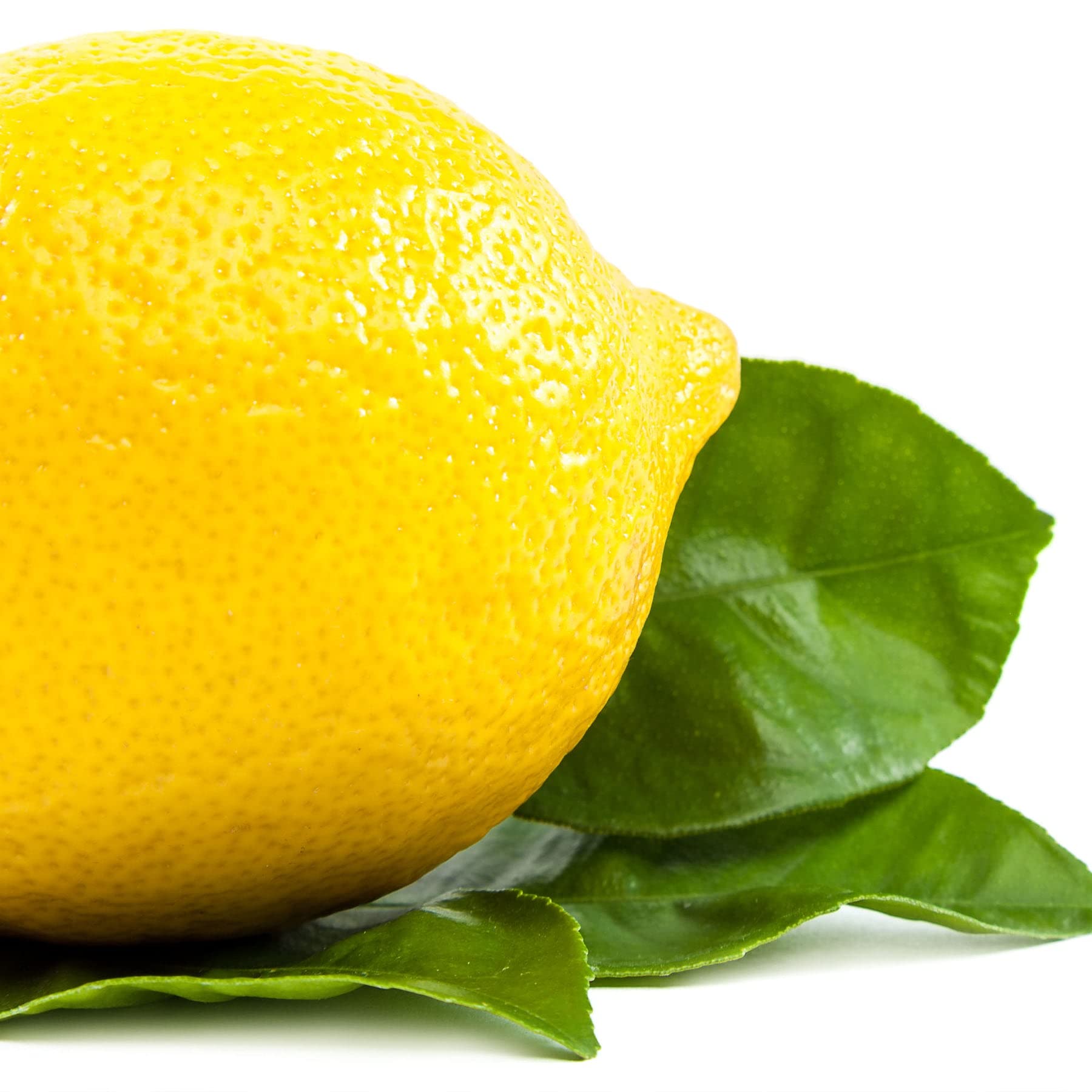 Earth To Skin Super Foods Lemon + Basil Hand & Body Creme Gel (8 oz) – Pack of 2