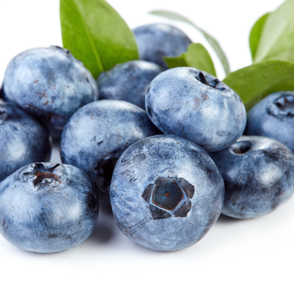 Earth To Skin Super Fruits Blueberry Exfoliating Cleanser – 5.0 fl oz (Pack of 2)
