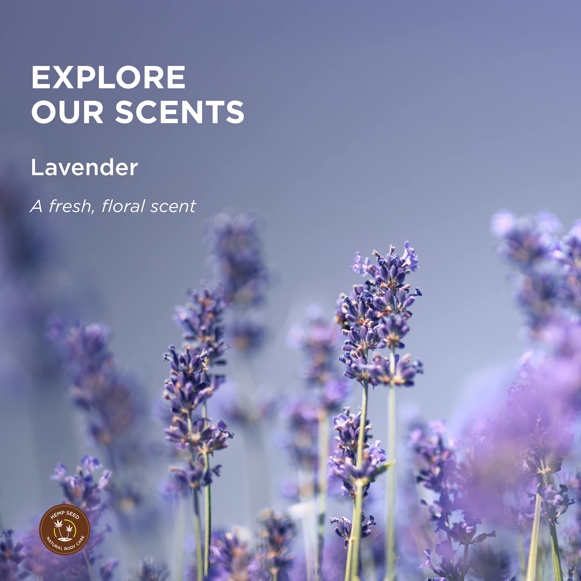 Earthly Body Hemp Seed Bath and Shower Gel – Lavender, 8 oz | Moisturizing, Vegan