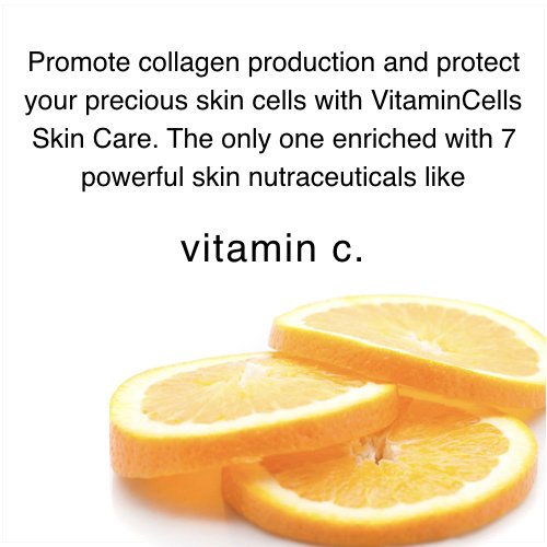 Ecco Bella Plant Based Rebuilder Night Cream – Hyaluronic Acid, Vitamin C & E (2oz)