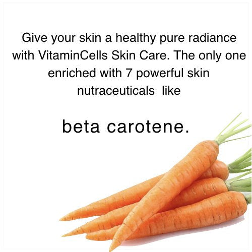 Ecco Bella Plant Based Rebuilder Night Cream – Hyaluronic Acid, Vitamin C & E (2oz)