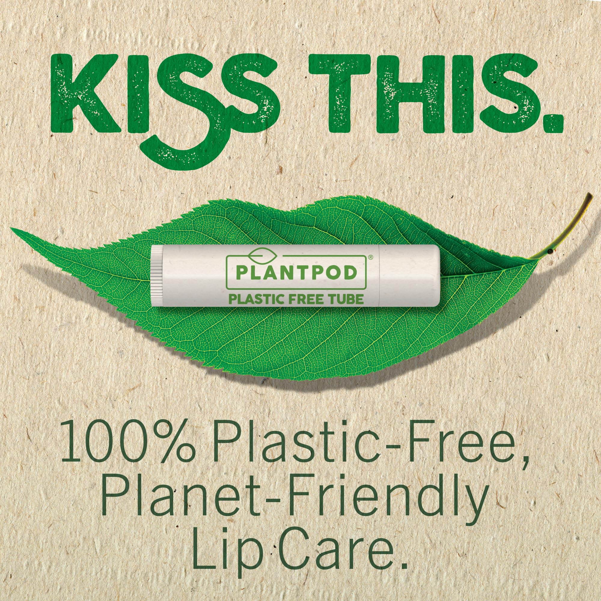 Eco Lips Vegan Lip Balm Sweet Mint – 3 Pack | Plastic-Free Plant Pod, Made in USA