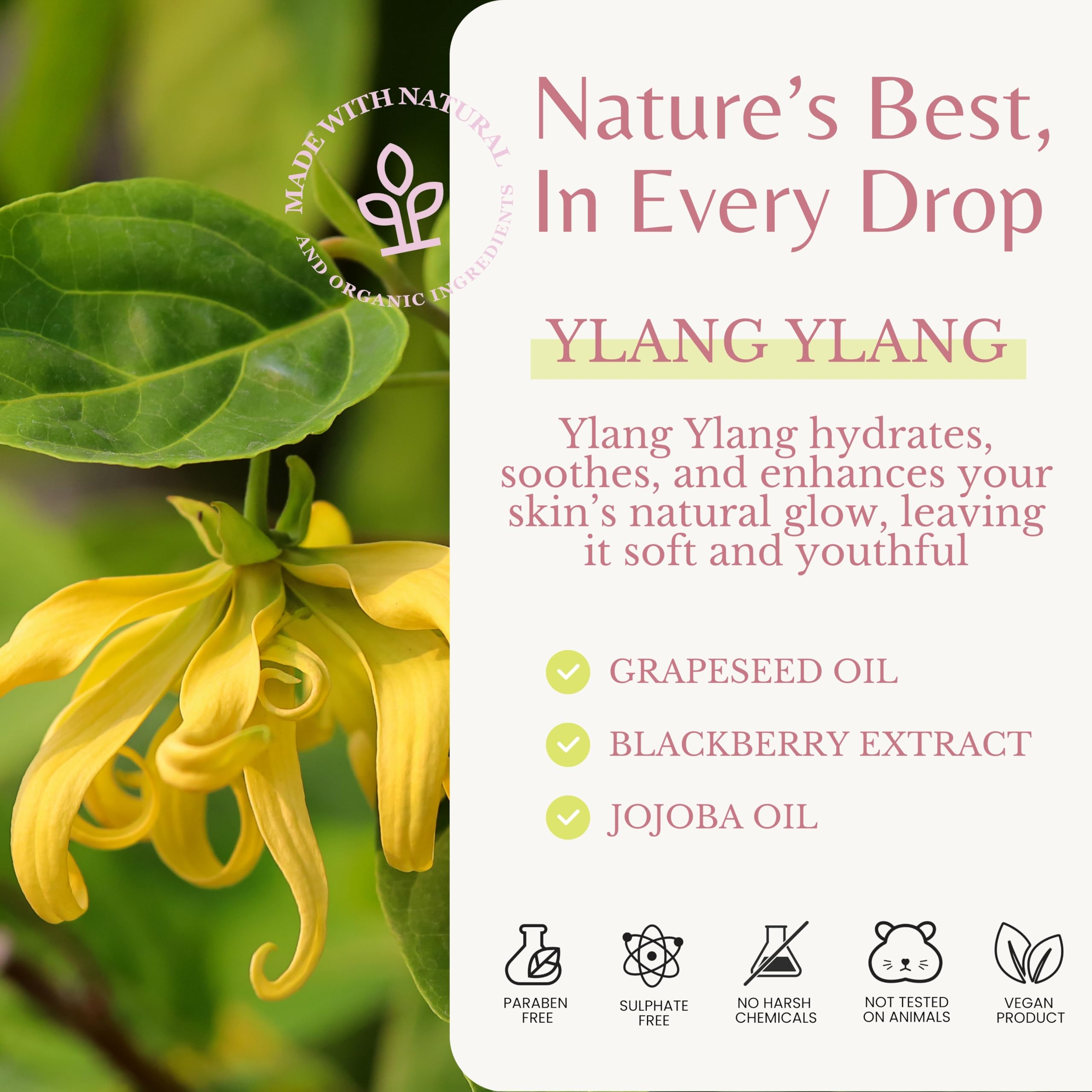 EDENIKA BOTANICALS Ylang Ylang Body Wash – Nourishing, Hydrating, Organic (2-Pack, 16 oz)