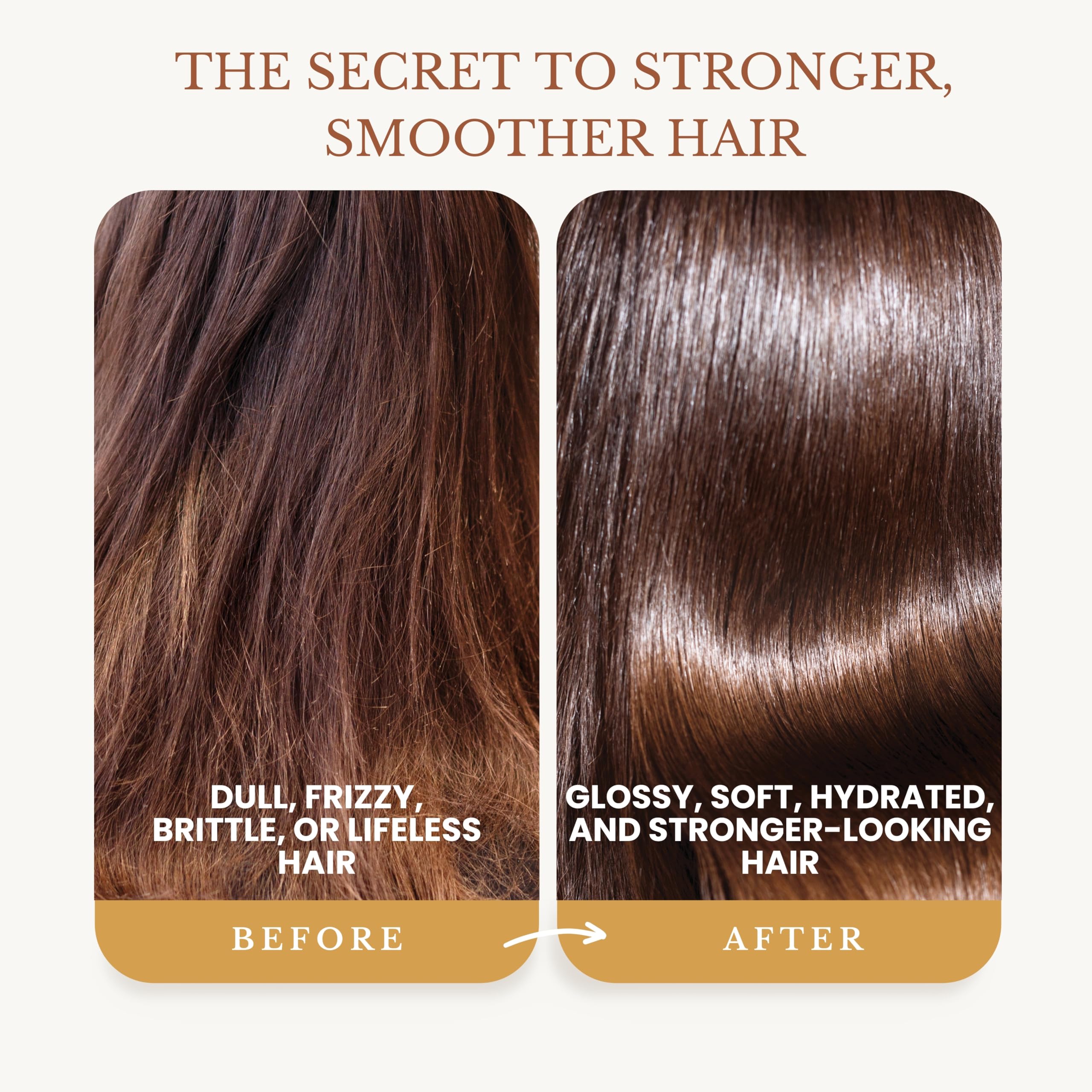 EDENIKA BOTANICALS Ginger Shampoo & Conditioner Set — Fortifying Biotin Formula, Organic Ingredients, 16 oz Each