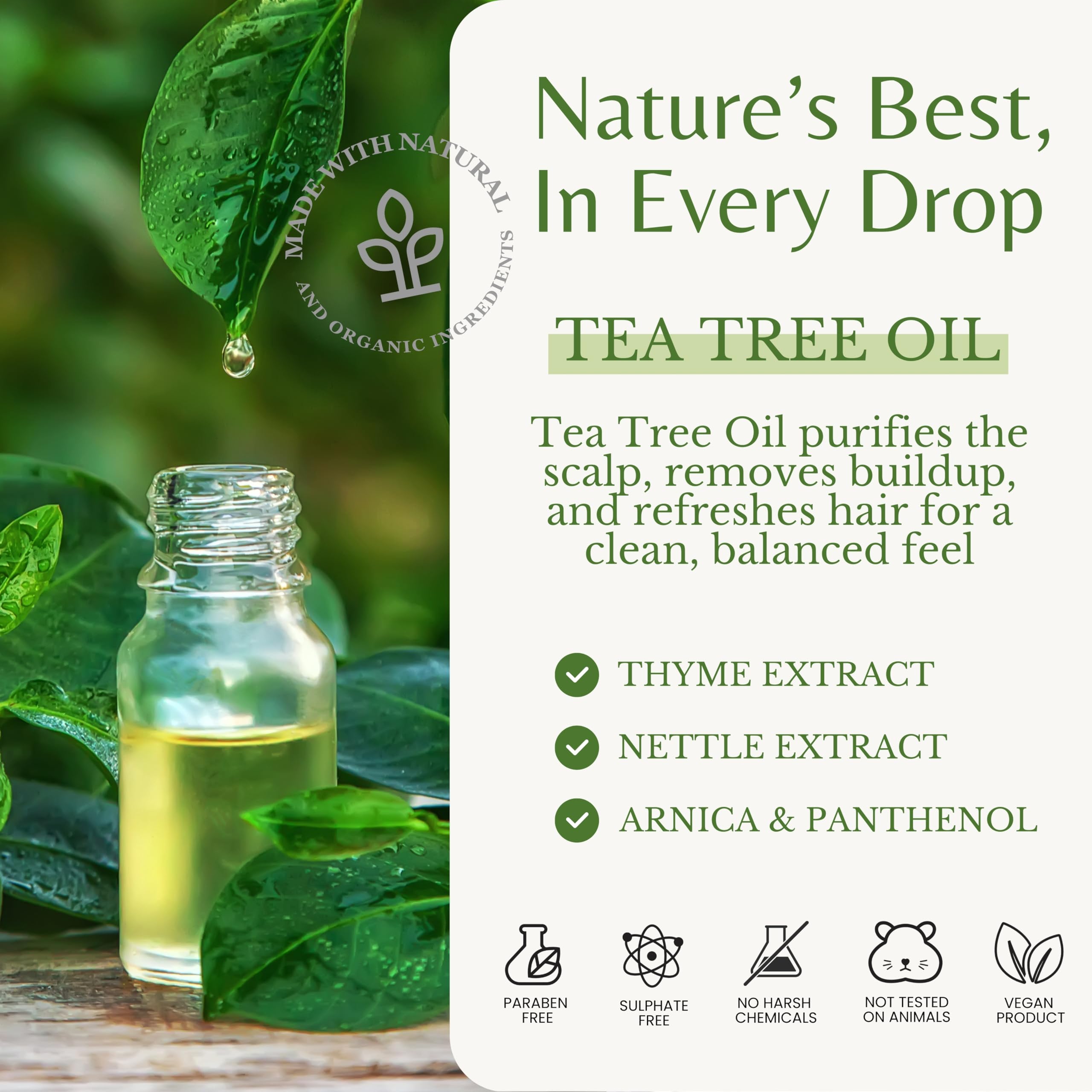EDENIKA BOTANICALS Tea Tree Oil Shampoo – Soothes Itchy Scalp, Deep Cleansing, Sulfate-Free