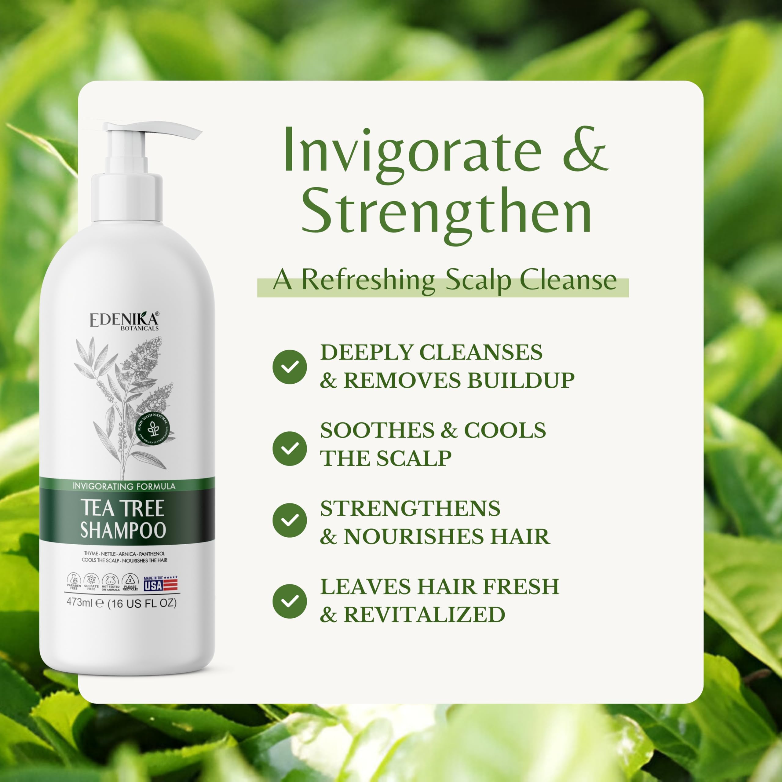 EDENIKA BOTANICALS Tea Tree Oil Shampoo – Soothes Itchy Scalp, Deep Cleansing, Sulfate-Free