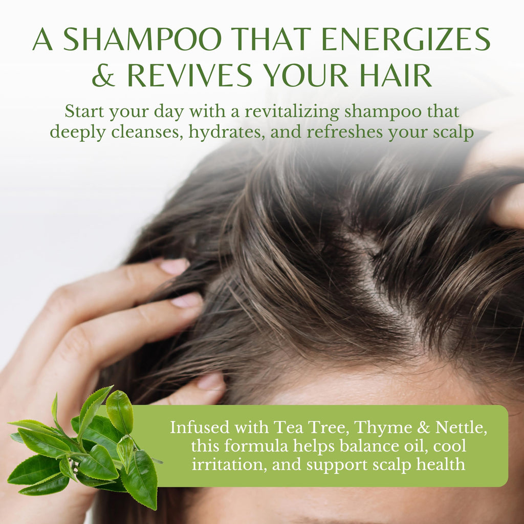 EDENIKA BOTANICALS Tea Tree Oil Shampoo – Soothes Itchy Scalp, Deep Cleansing, Sulfate-Free