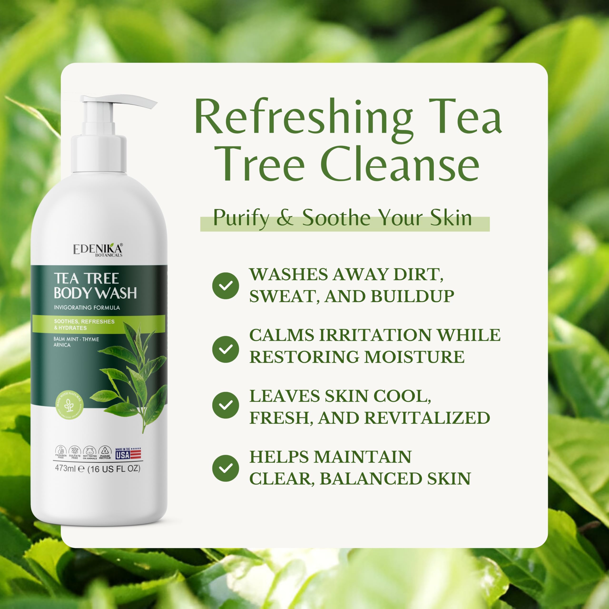 EDENIKA BOTANICALS Tea Tree Oil Body Wash – Cleanse, Refresh & Gentle Skin (16 oz, 2-Pack)