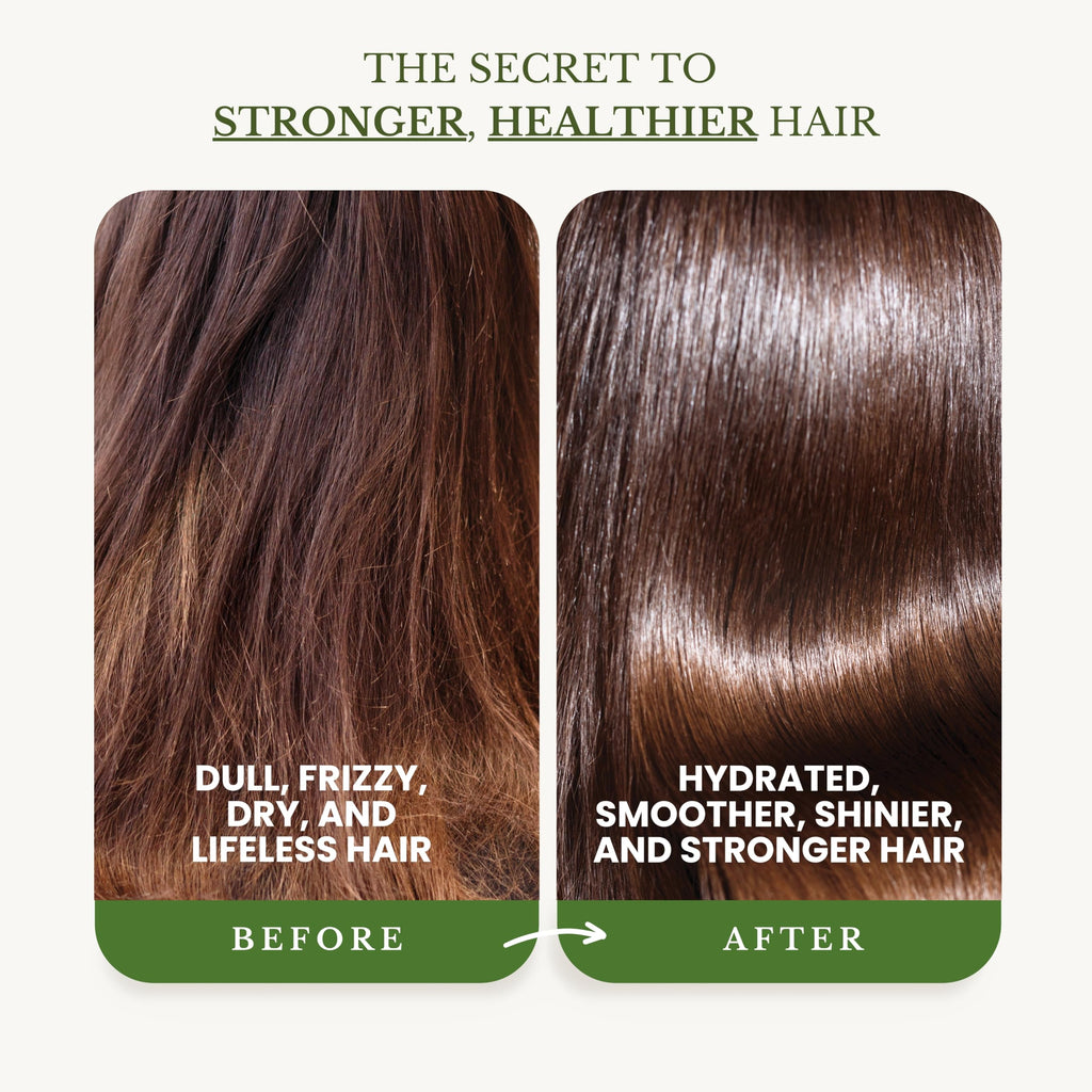 EDENIKA BOTANICALS Tea Tree Shampoo & Conditioner – Soothes Scalp & Deep Cleansing (16 oz each)