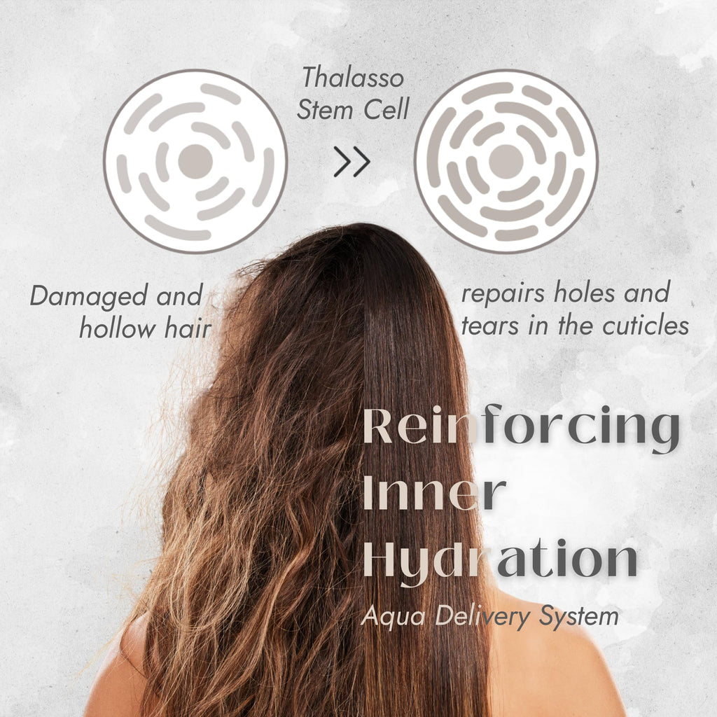 Eight the Thalasso Anti-Frizz Shampoo – Detangling, Ceramides & Stem Cells, 16.06 oz
