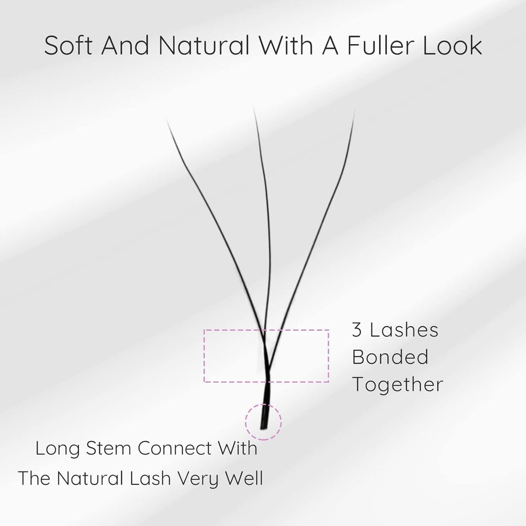 EMEDA W Lash Extensions C Curl .07mm 12mm – Premade 3D Volume Fans