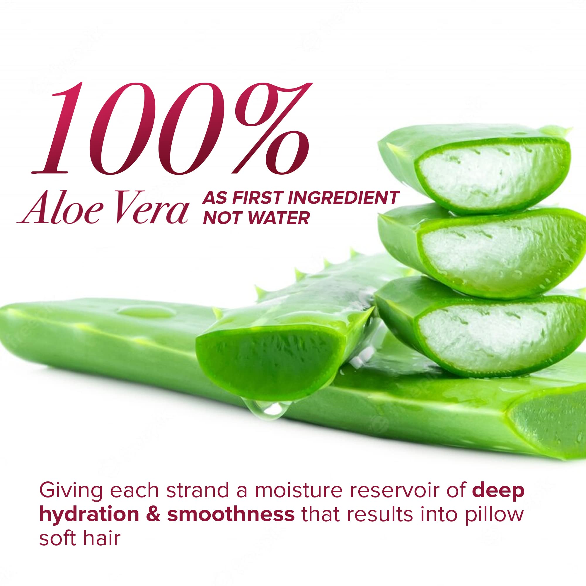 Én Love Moisture Crush Shampoo for Curly & Wavy Hair — Coconut Milk, Aloe Vera, No Sulfates | 12oz