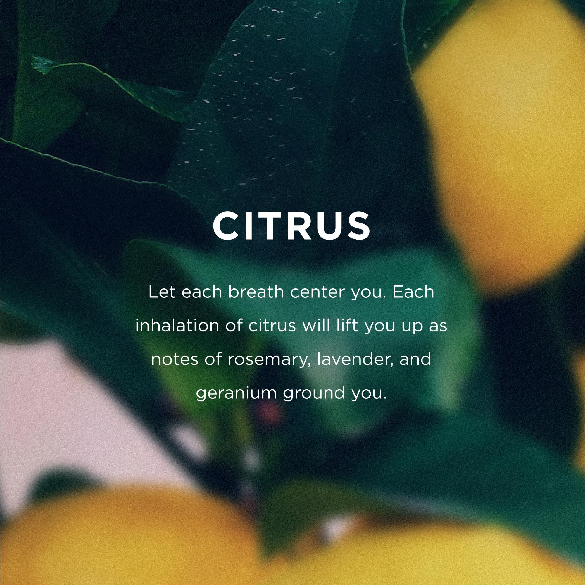 EO Organic Deodorant Spray Citrus - 4 oz | Plant-Based, Aluminum-Free
