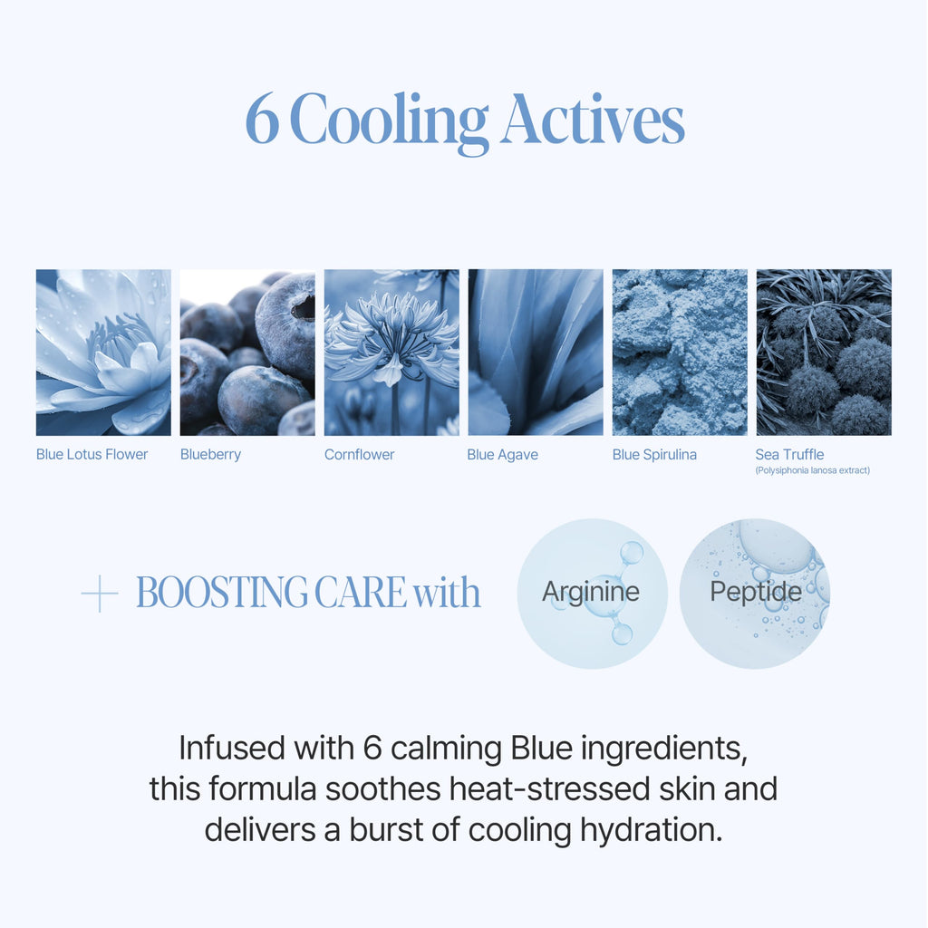 Espoir Be Velvet Sebum Cut Cushion | Gel-to-Powder, Oil Control & Instant Cooling