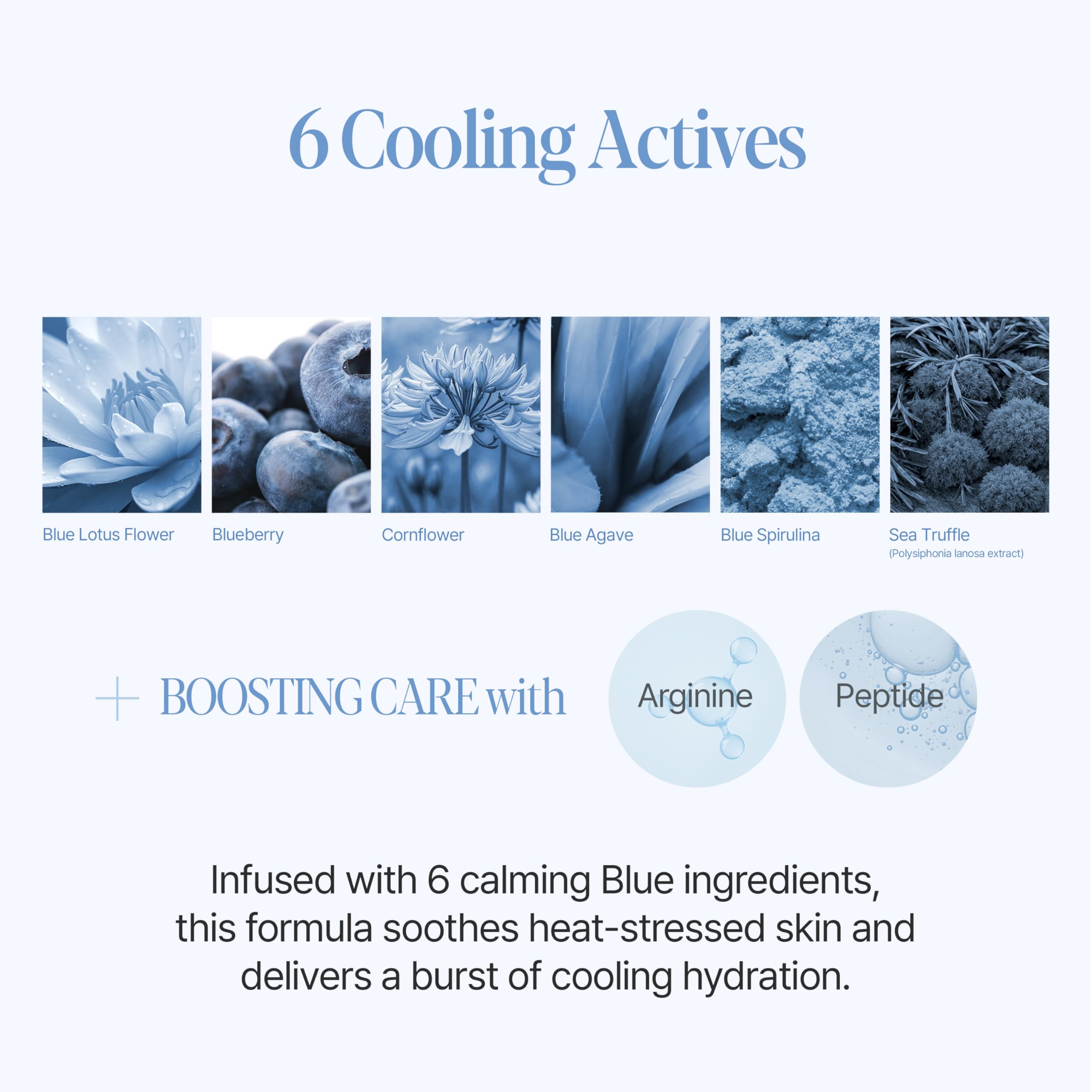 Espoir Be Velvet Sebum Cut Cushion | Gel-to-Powder, Oil Control & Instant Cooling