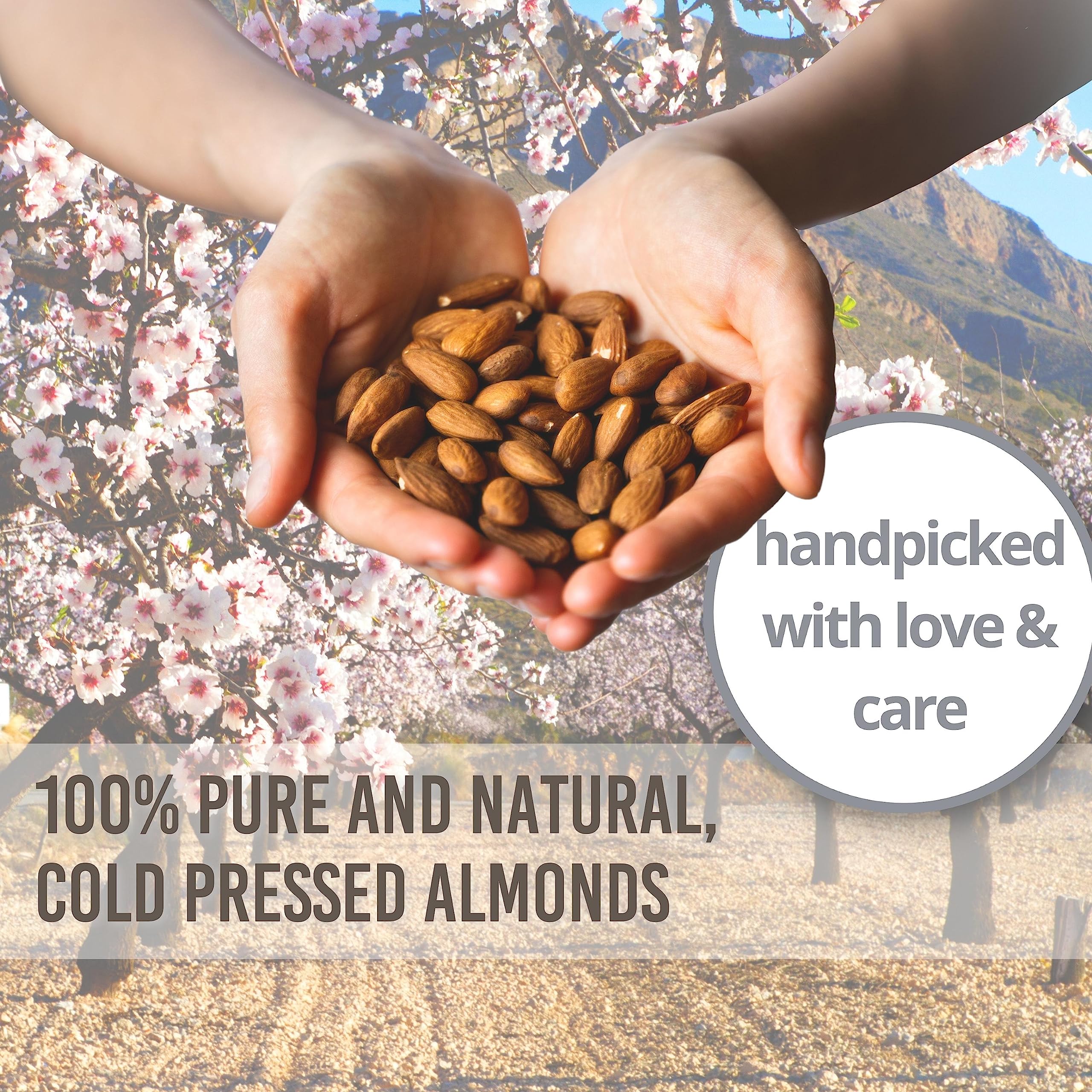 Essentially KateS Sweet Almond Oil – 33.8 Fl Oz (Pack of 2) | 100% Pure & Natural