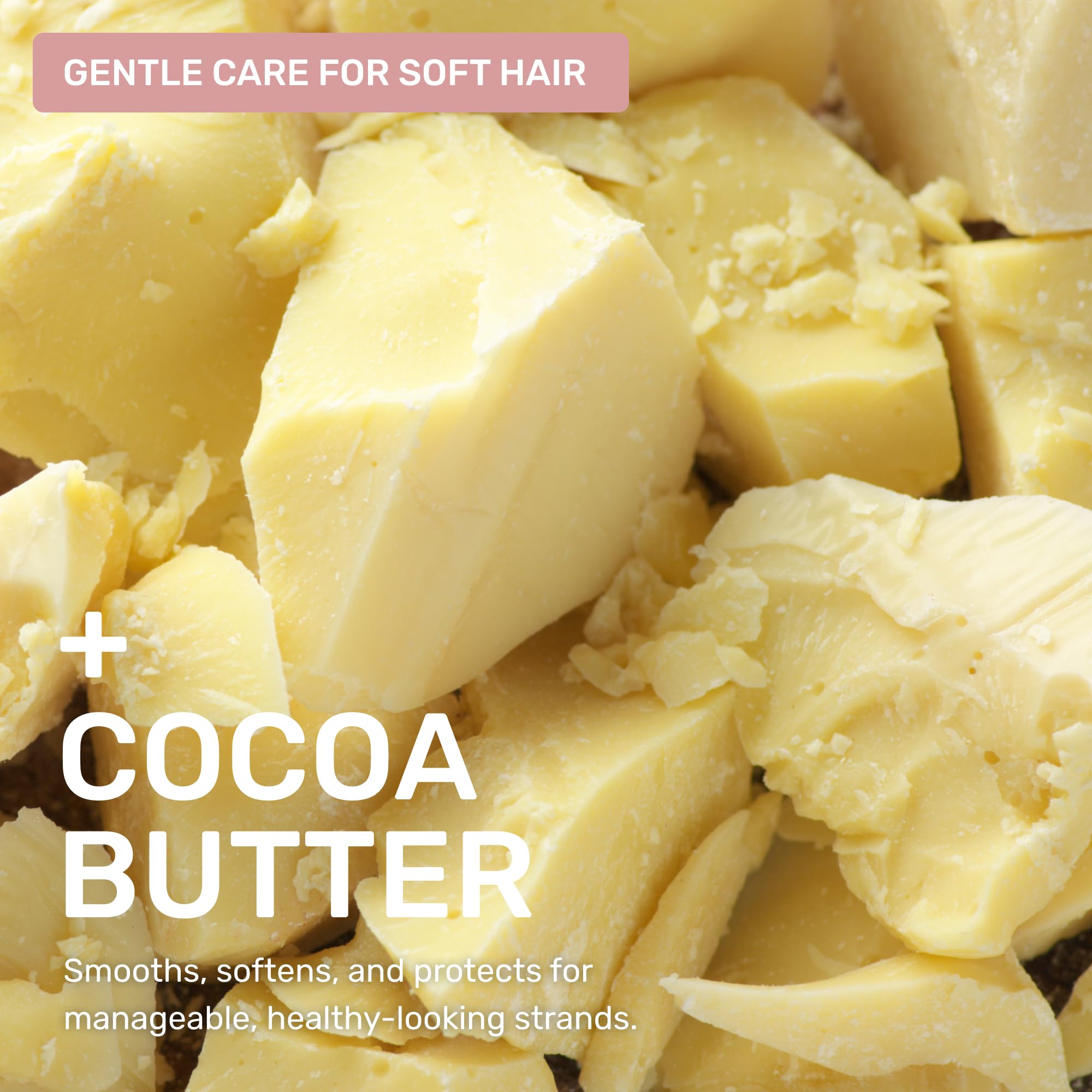 Ethique Gentle Unscented Shampoo Bar with Cocoa Butter | Plastic-Free, Vegan, Cruelty-Free, 3.88 oz