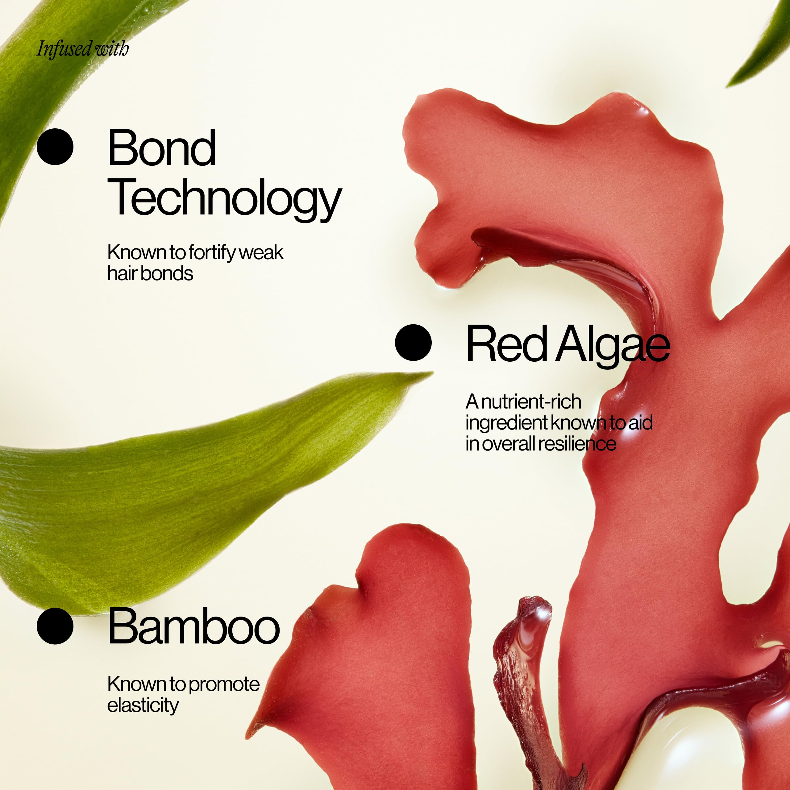 Eva NYC Repair Leave-In Hair Treatment | Bond Technology, Heat Protection Up To 450°F, Red Algae & Bamboo | 5.4 fl oz