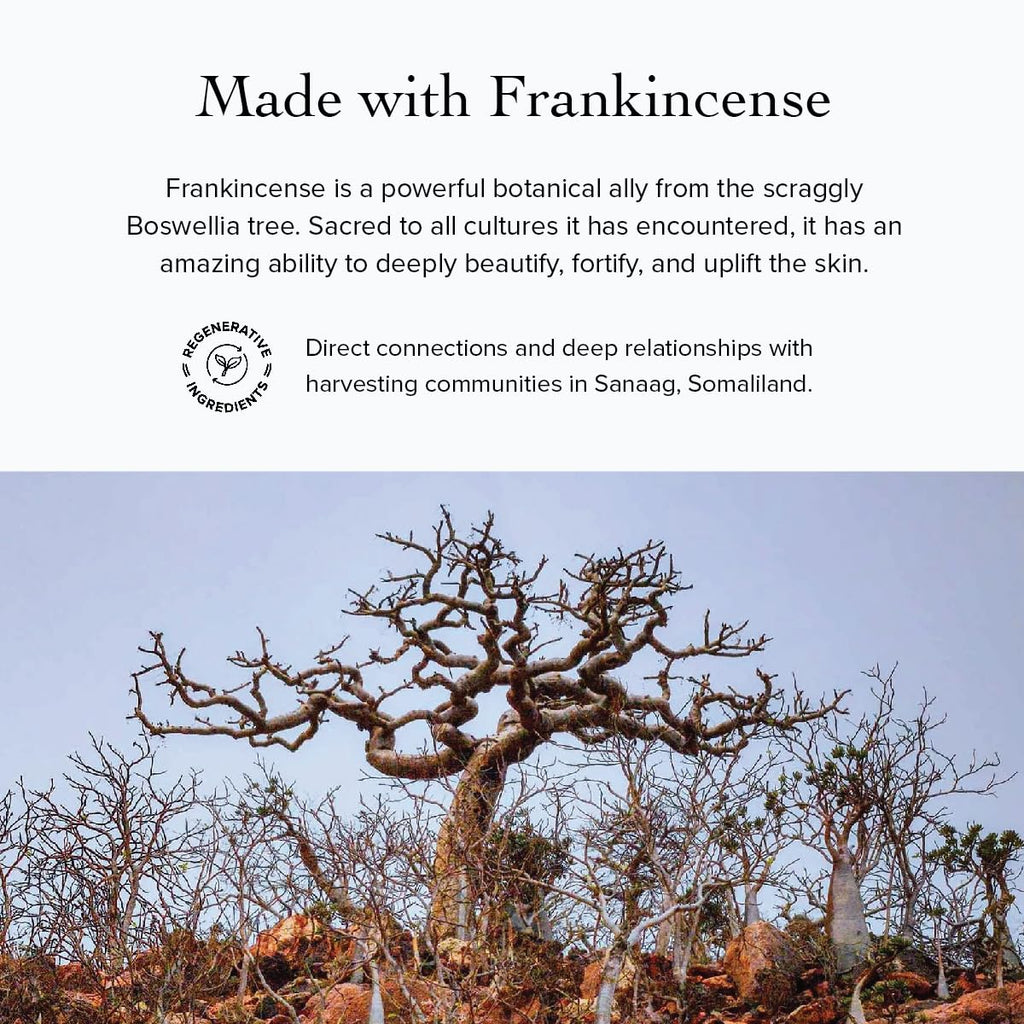 evanhealy Frankincense HydroSoul | Organic Hydrosol Toner, Alcohol-Free