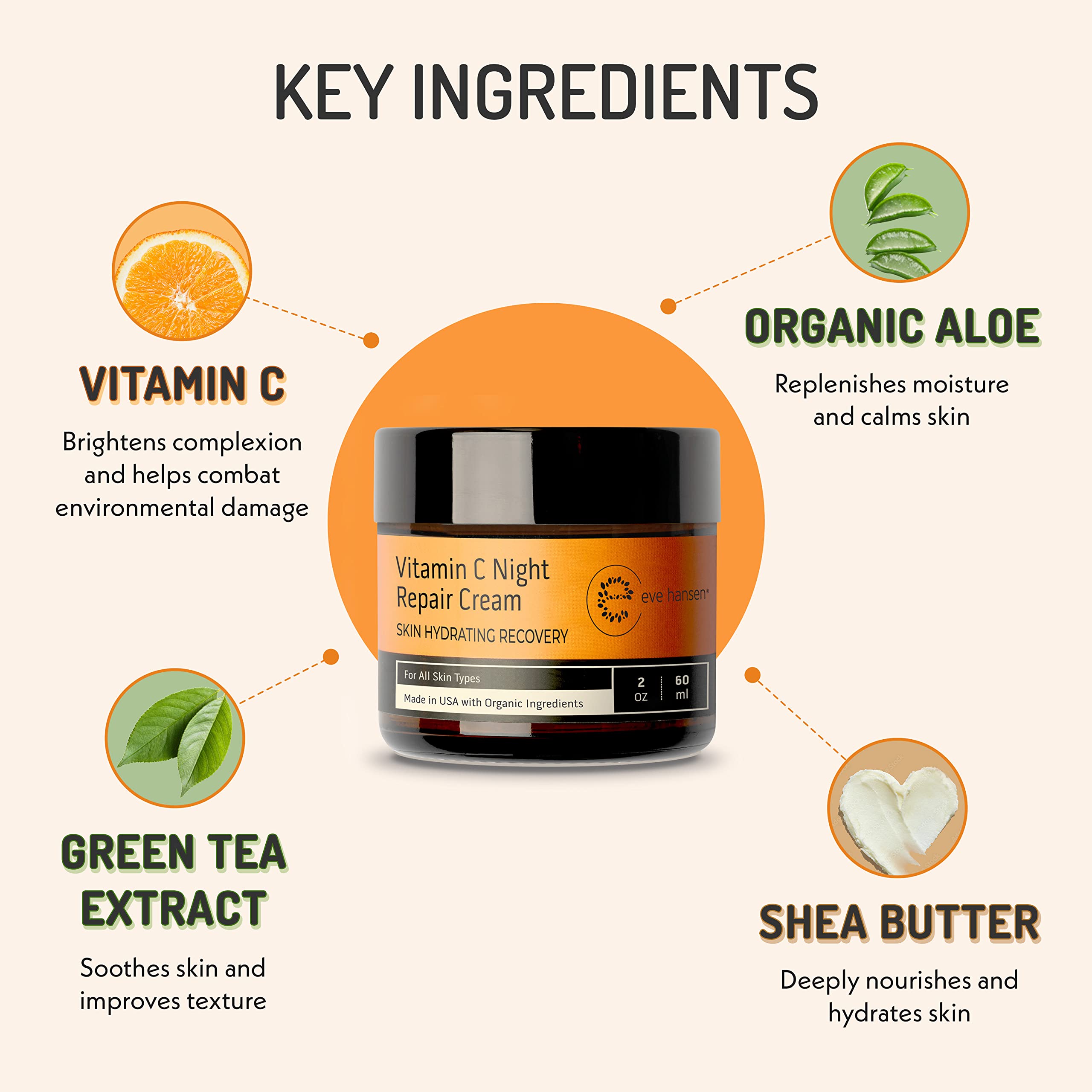 Eve Hansen Vitamin C Night Cream for Face & Neck – Hydrating, Brightening