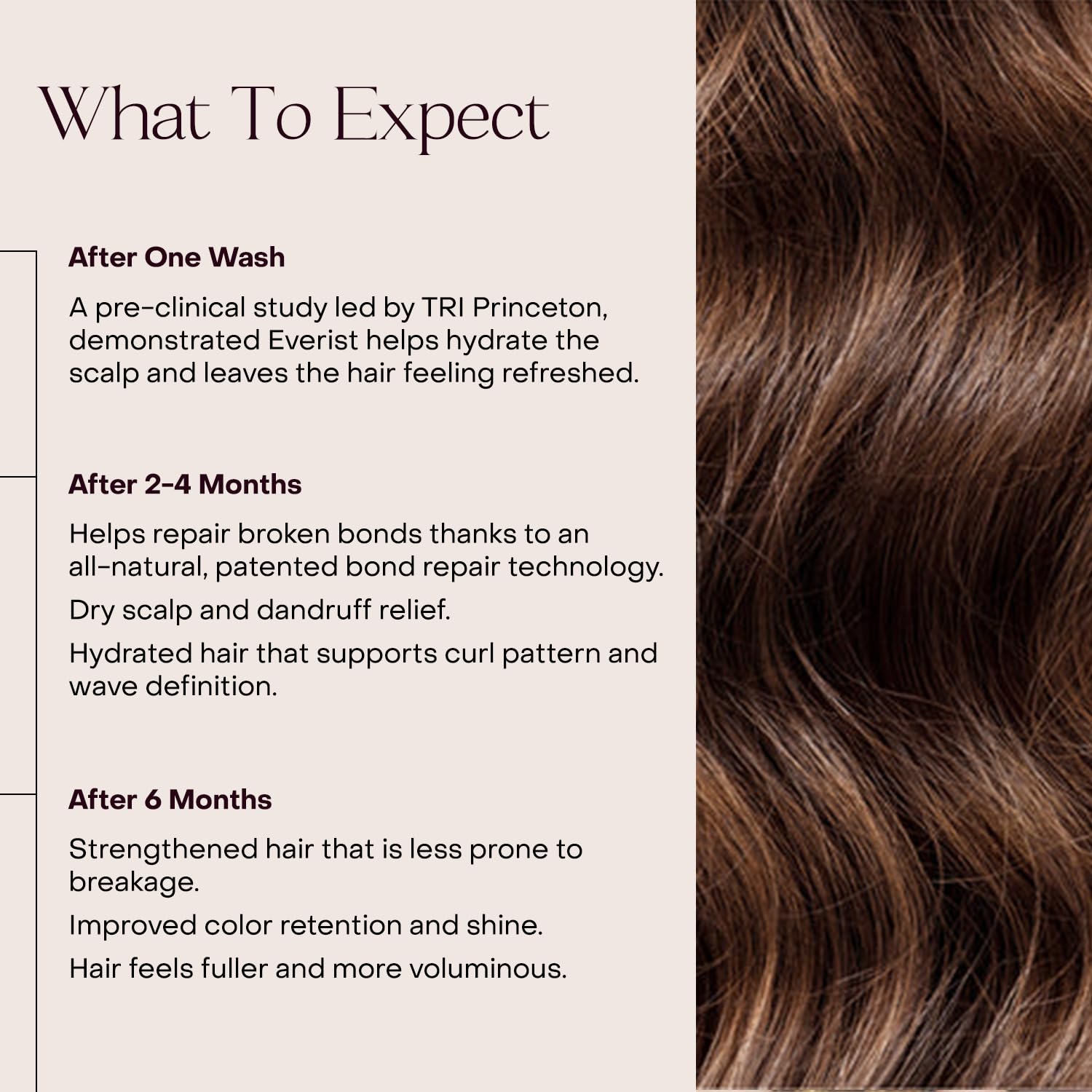 Everist Haircare Meets Skincare Set – Shampoo Concentrate & Deep Conditioner Concentrate (3.4 fl oz each)