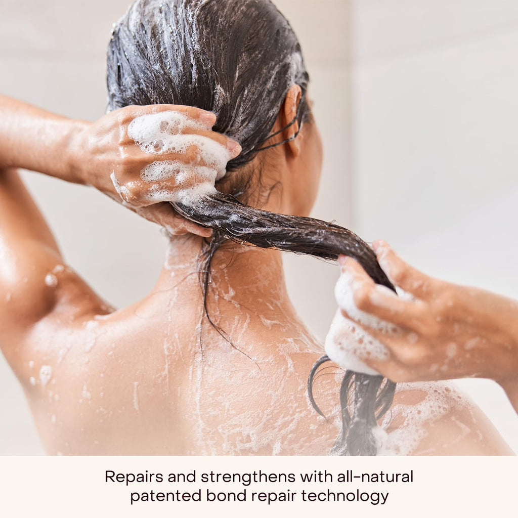 Everist Shampoo Concentrate – Waterless Bond-Repair Cream for All Hair Types