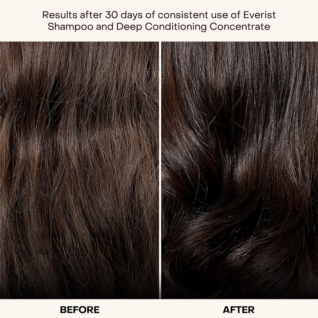 Everist Shampoo Concentrate – Waterless Bond-Repair Cream for All Hair Types