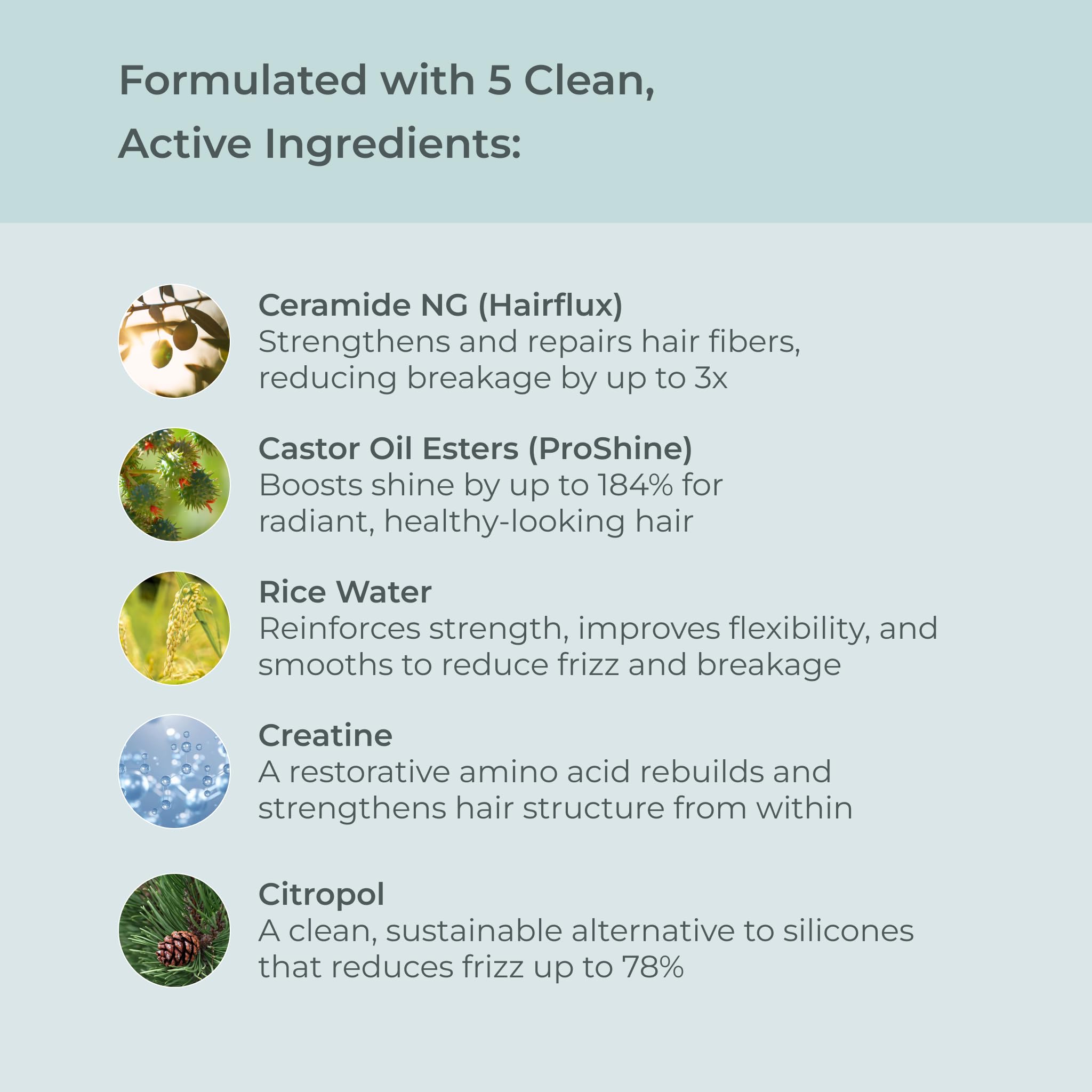 EVOLVh Natural UltraShine Moisture Conditioner | Vegan, Non-Toxic, 1 L
