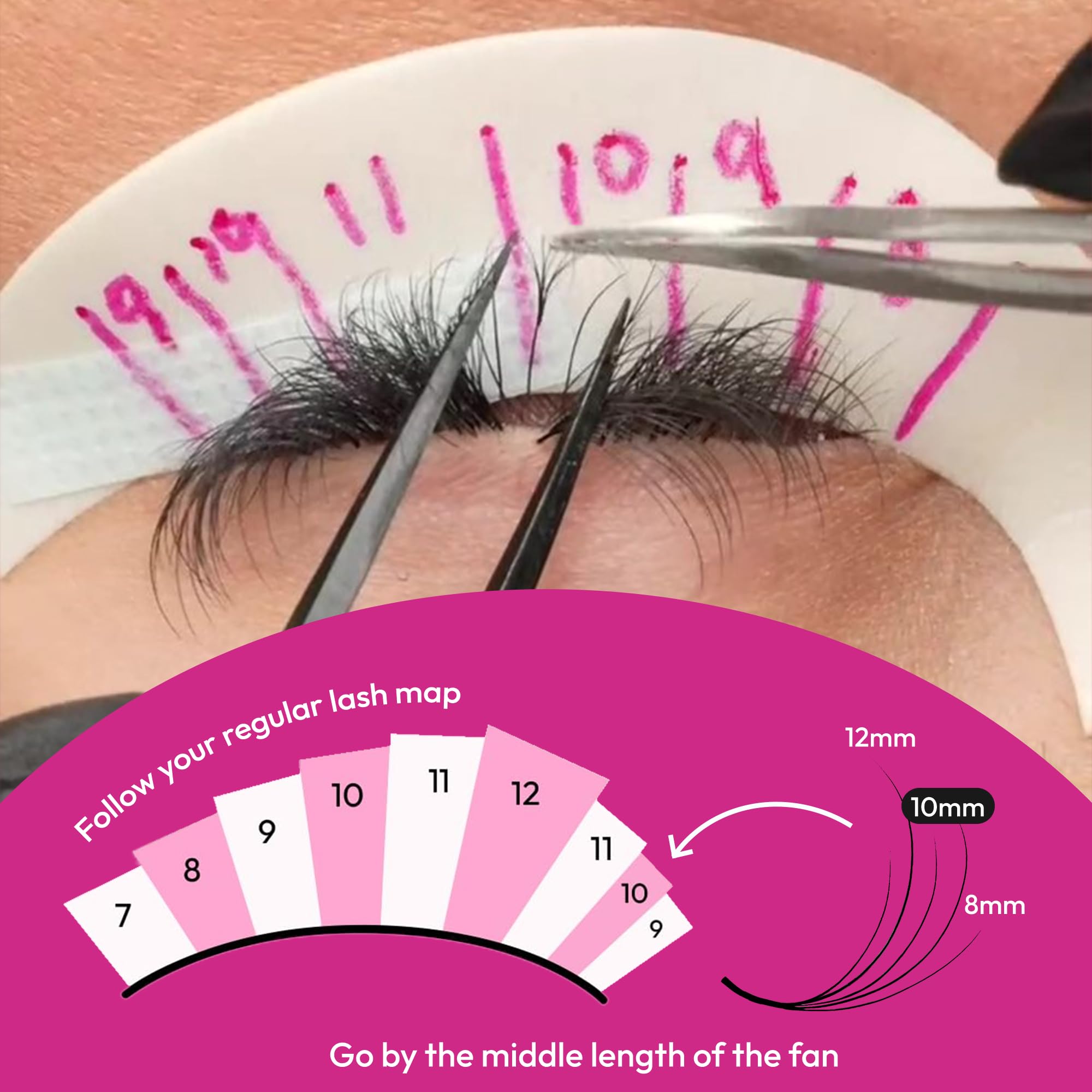 Eyesy Lash 500 Camellia Promade Fans – 3-Length 5D 0.07, C Curl, 9-11-13mm