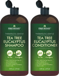 First Botany Tea Tree and Eucalyptus Shampoo and Conditioner Set | Clarifying Scalp Care with Activated Charcoal, Biotin and Keratin – Sulfate-Free, Made in USA – 16 oz x 2
