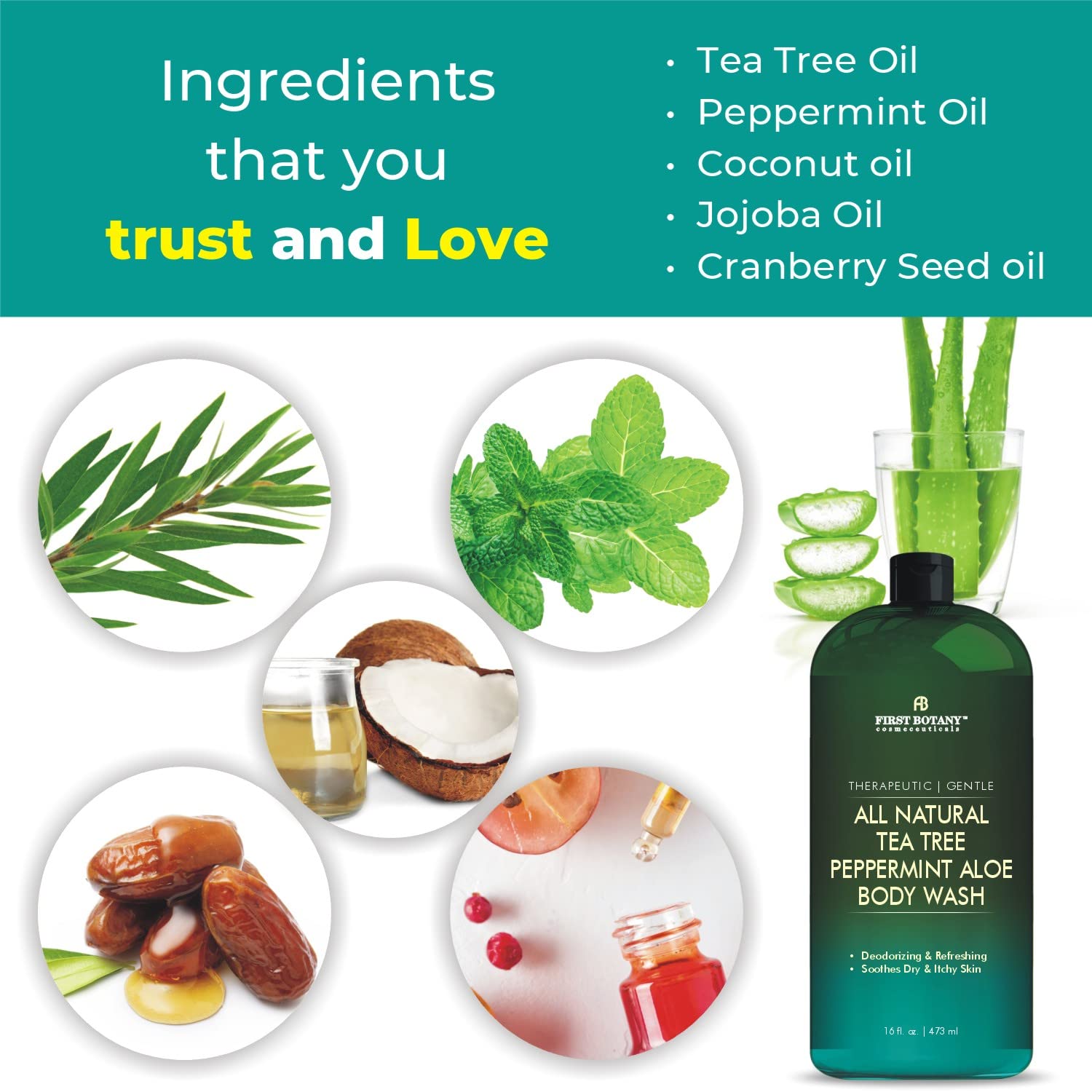 First Botany ALL Natural Tea Tree Mint Body Wash – 16 oz