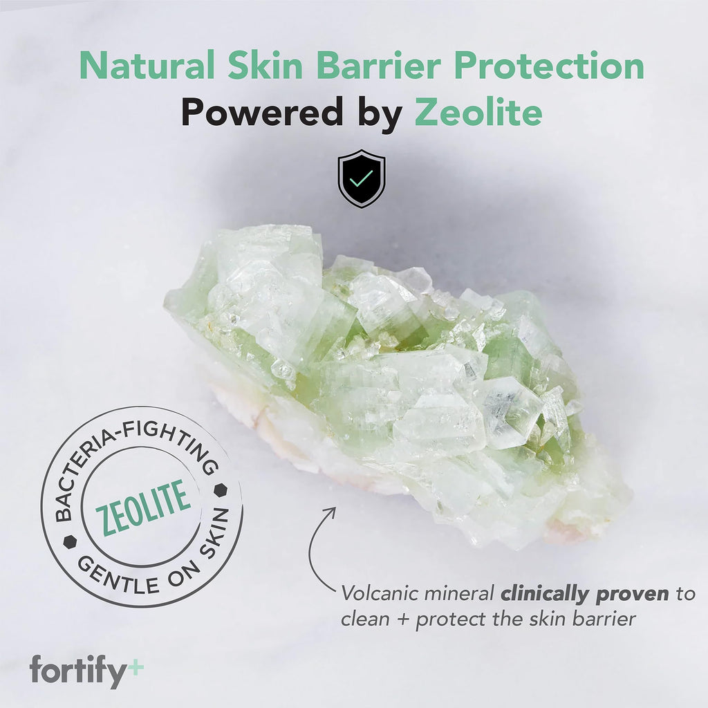 Fortify Skincare Face Cleansing Wipes with Hyaluronic Acid, Aloe Vera & Zeolite (30 Count)