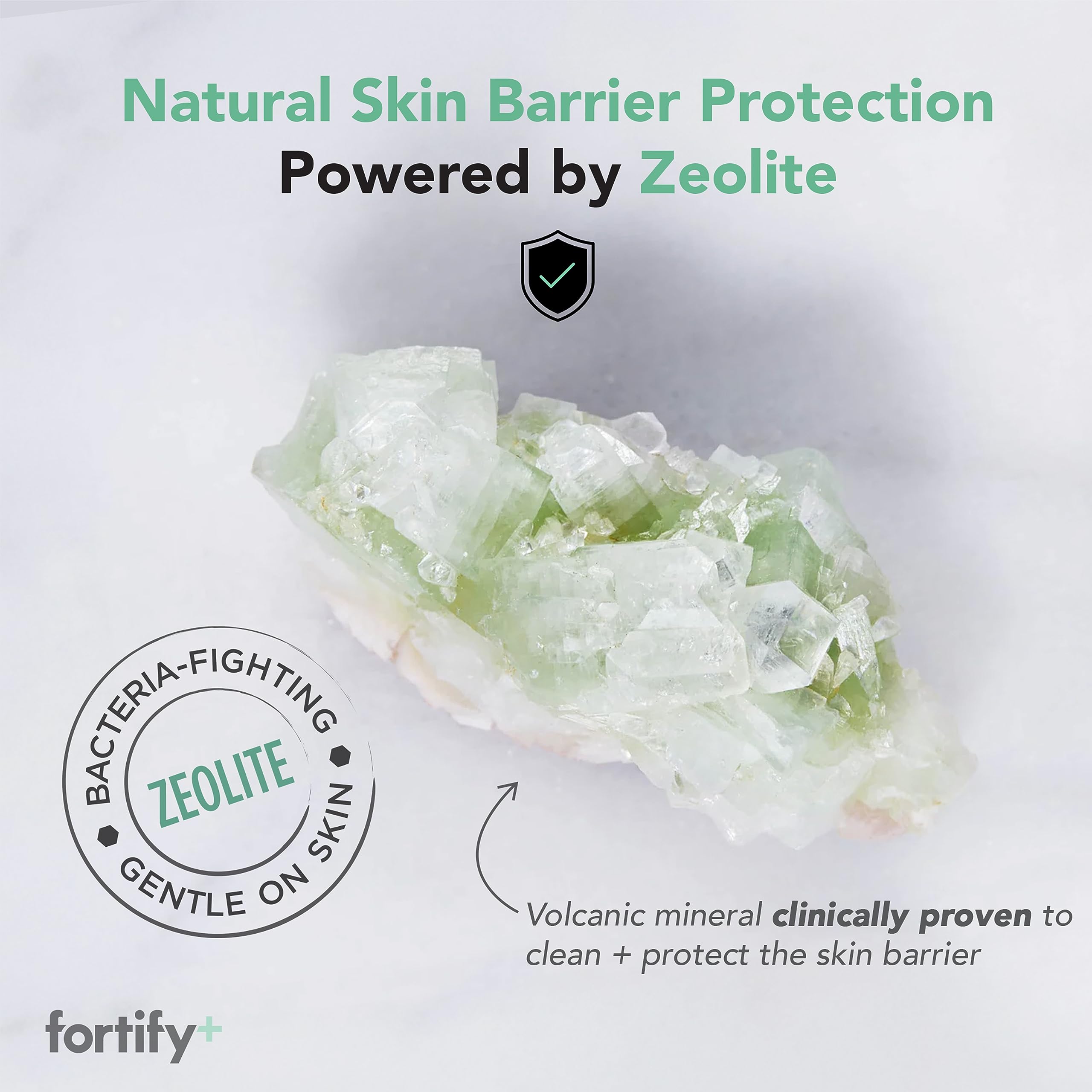 Fortify Skincare Face Cleansing Wipes with Hyaluronic Acid, Aloe Vera & Zeolite (30 Count)