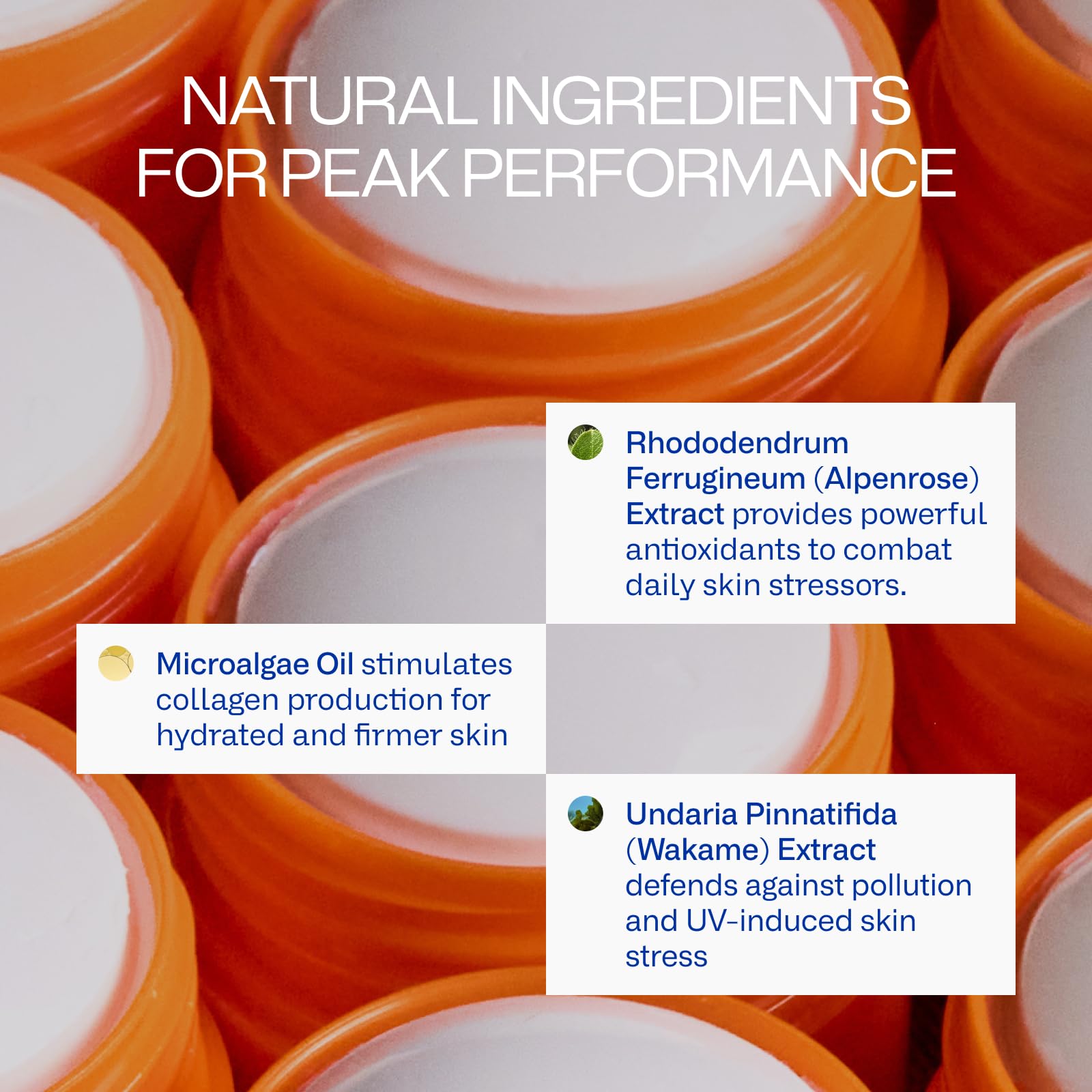 Freaks of Nature Peak Performance Sun Stick SPF 50 – 100% Mineral, Reef-Safe, 80-Min Water-Resistant