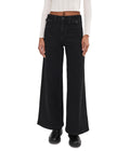 Free People Kellee High-Rise Palazzo Pants - Black, Size 26