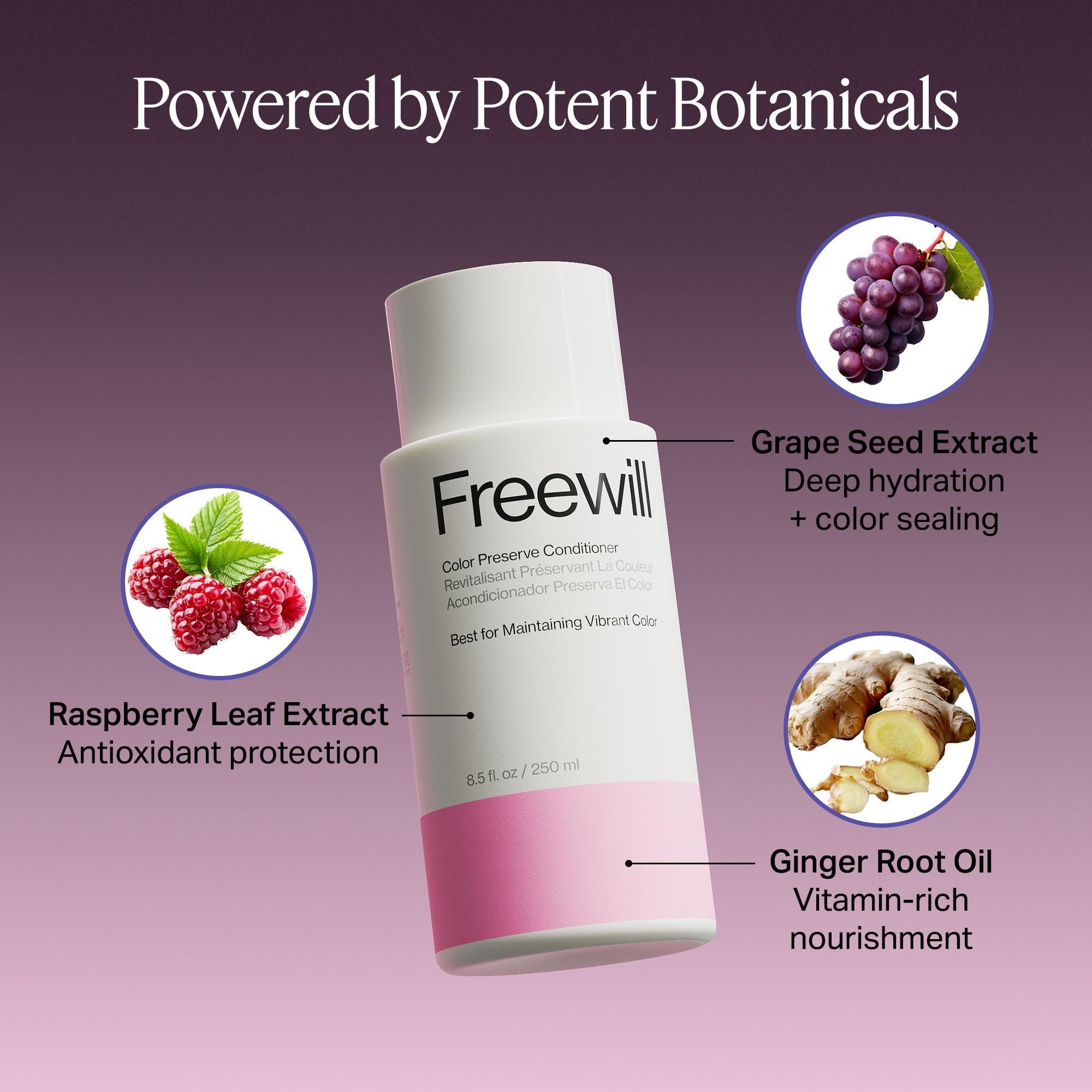 Freewill Color Preserve Conditioner | Rich Hydration for Color-Treated Hair – 8.5 oz