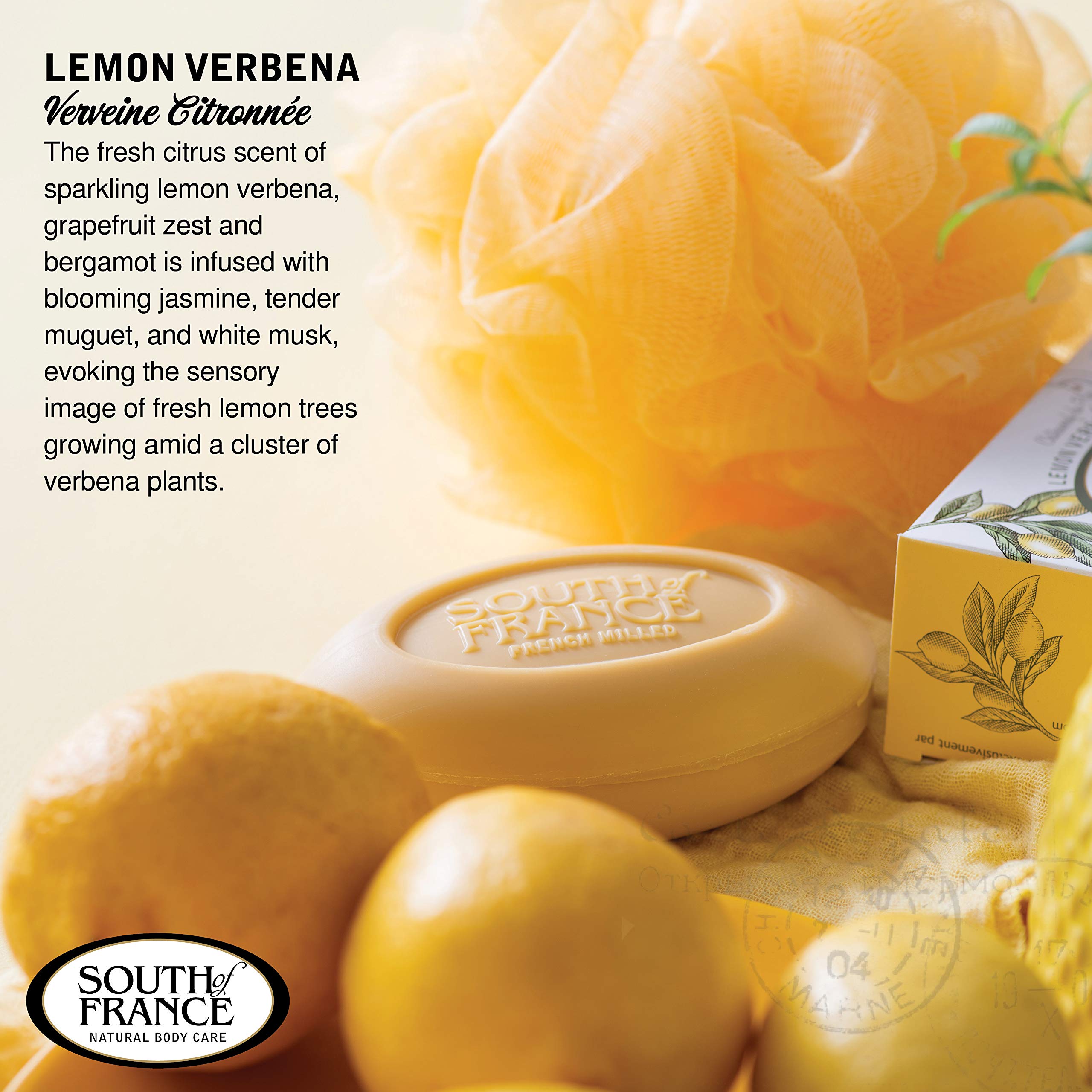 Lemon Verbena Clean Bar Soap | South Of France Triple-Milled, Vegan 4-Pack (6 oz)