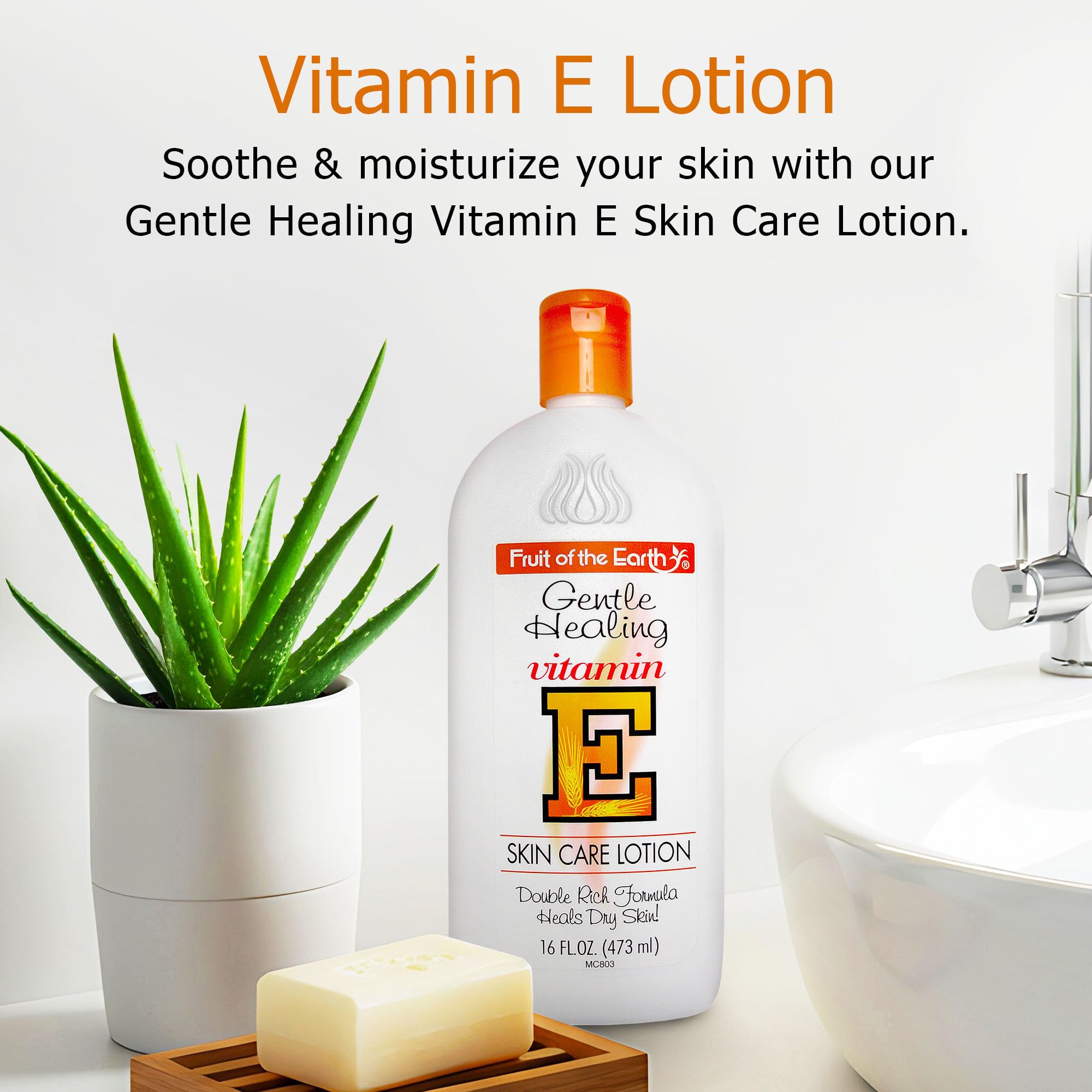 Fruit of the Earth Vitamin E Lotion 16 oz – 2 Pack | Gentle Moisturizing Lotion