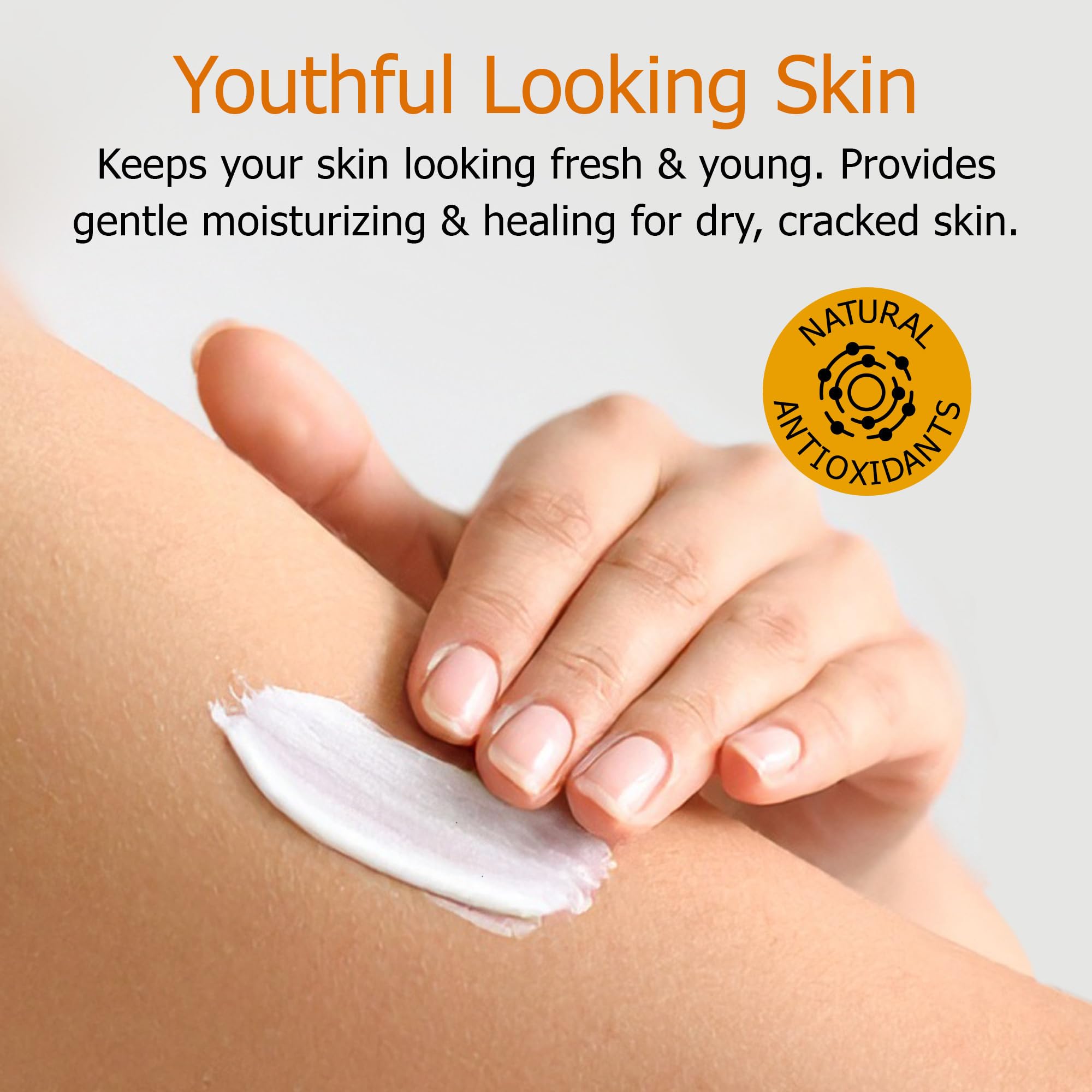 Fruit of the Earth Vitamin E Lotion 16 oz – 2 Pack | Gentle Moisturizing Lotion