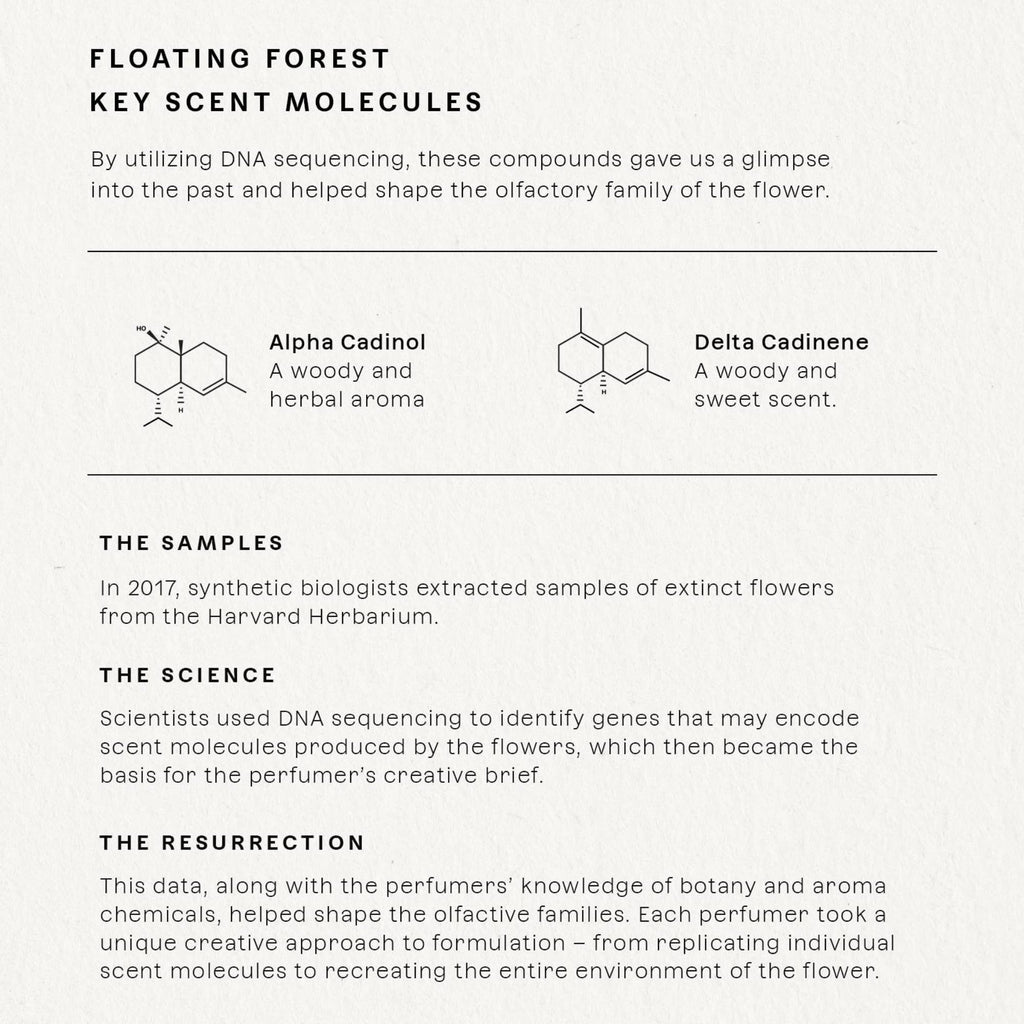 Future Society Floating Forest Perfume - Rich Aquatic Floral EDP with Bergamot, Freesia, Rose & Salted Musk - 50ml