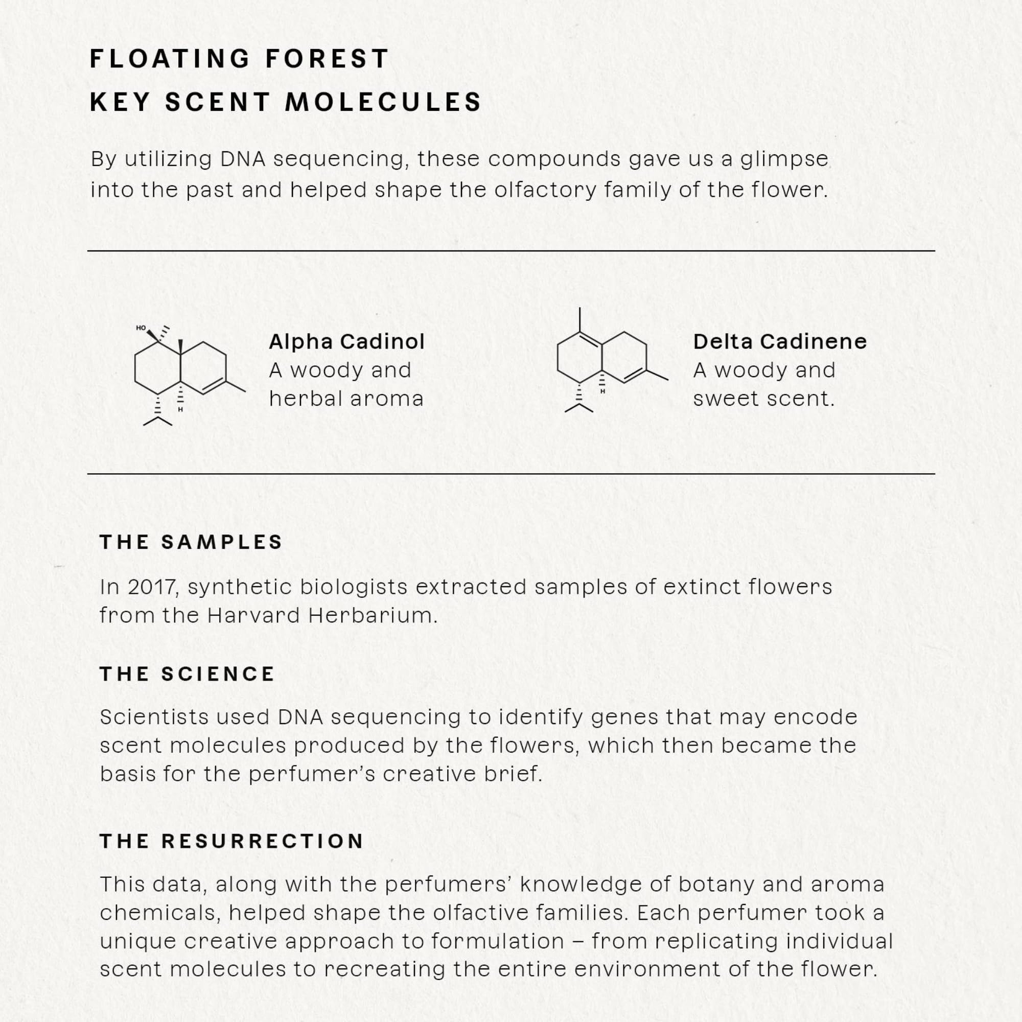 Future Society Floating Forest Perfume - Rich Aquatic Floral EDP with Bergamot, Freesia, Rose & Salted Musk - 50ml