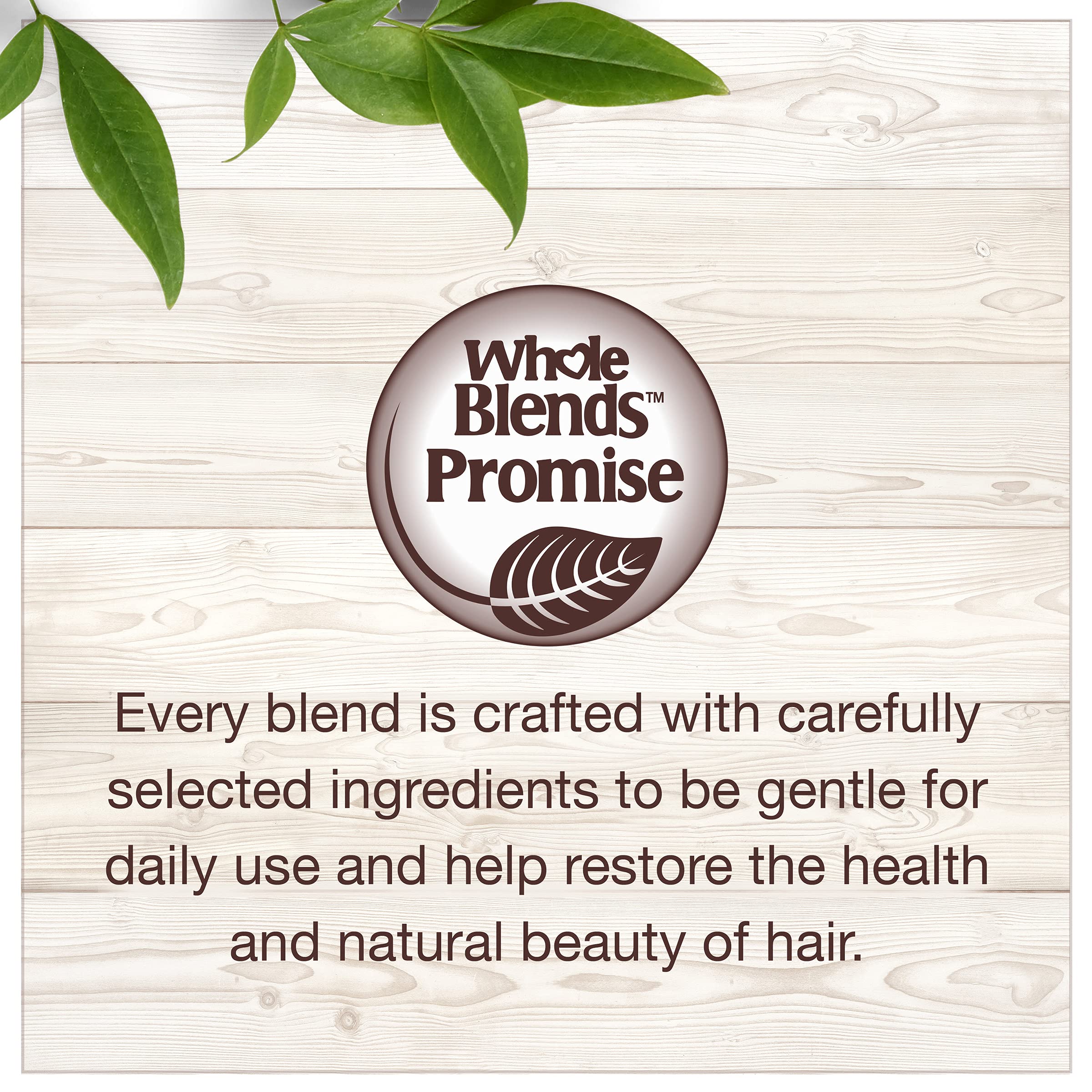Garnier Whole Blends Nurturing Almond Milk and Agave Extract Conditioner – Weightless Moisture for Normal to Dry Hair | Paraben Free | 12.5 fl oz