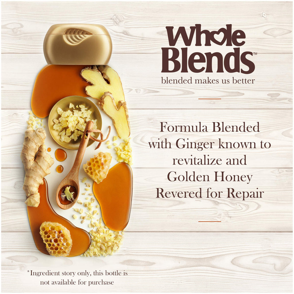 Garnier Whole Blends Ginger Recovery Conditioner, 12.5 Fl Oz – Strengthening & Revitalizing Moisture