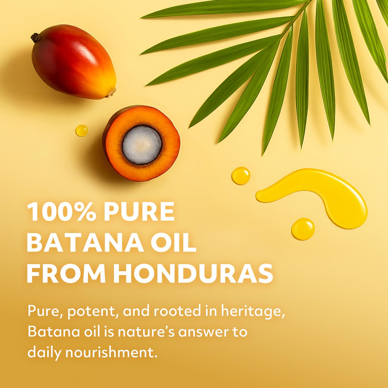 GEO BOUNTY 100% Natural Honduras Batana Oil Extra Strength – Hair Growth Support & Damaged Hair Repair | Made in USA 1.7 oz