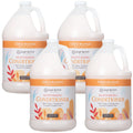 Ginger Lily Farms Botanicals Coco Mango Moisturizing Conditioner – Vegan & Cruelty-Free (1 Gallon Refill, Pack of 4)
