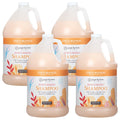 Ginger Lily Farms Botanicals Moisturizing Shampoo – Coco Mango, All Hair Types, 1 Gal Refill (Pack of 4)