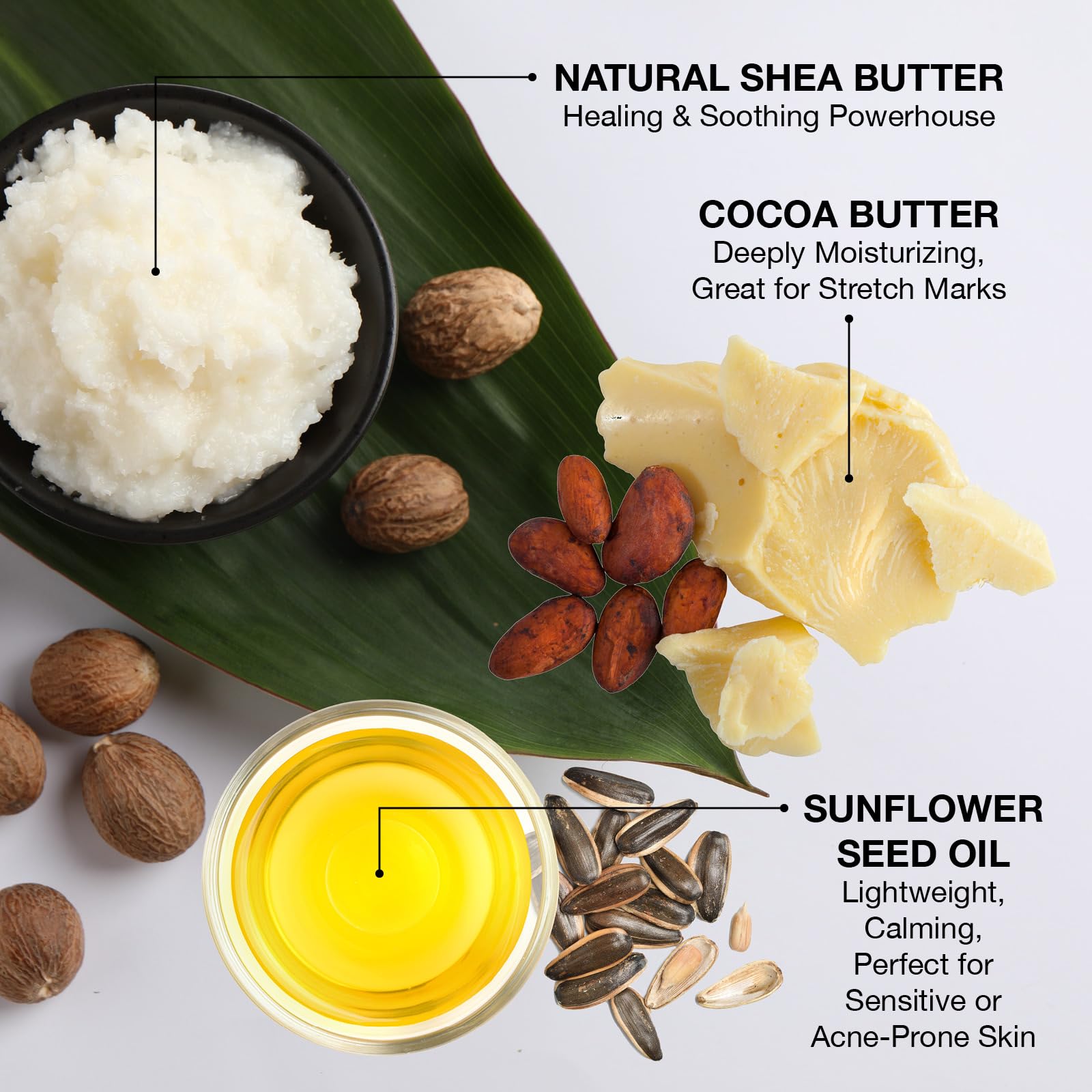 Ginger Lily Farms Botanicals Shea Indulgence Deep Hydration Body Wash – Island Tranquility, 1 Gallon Refill