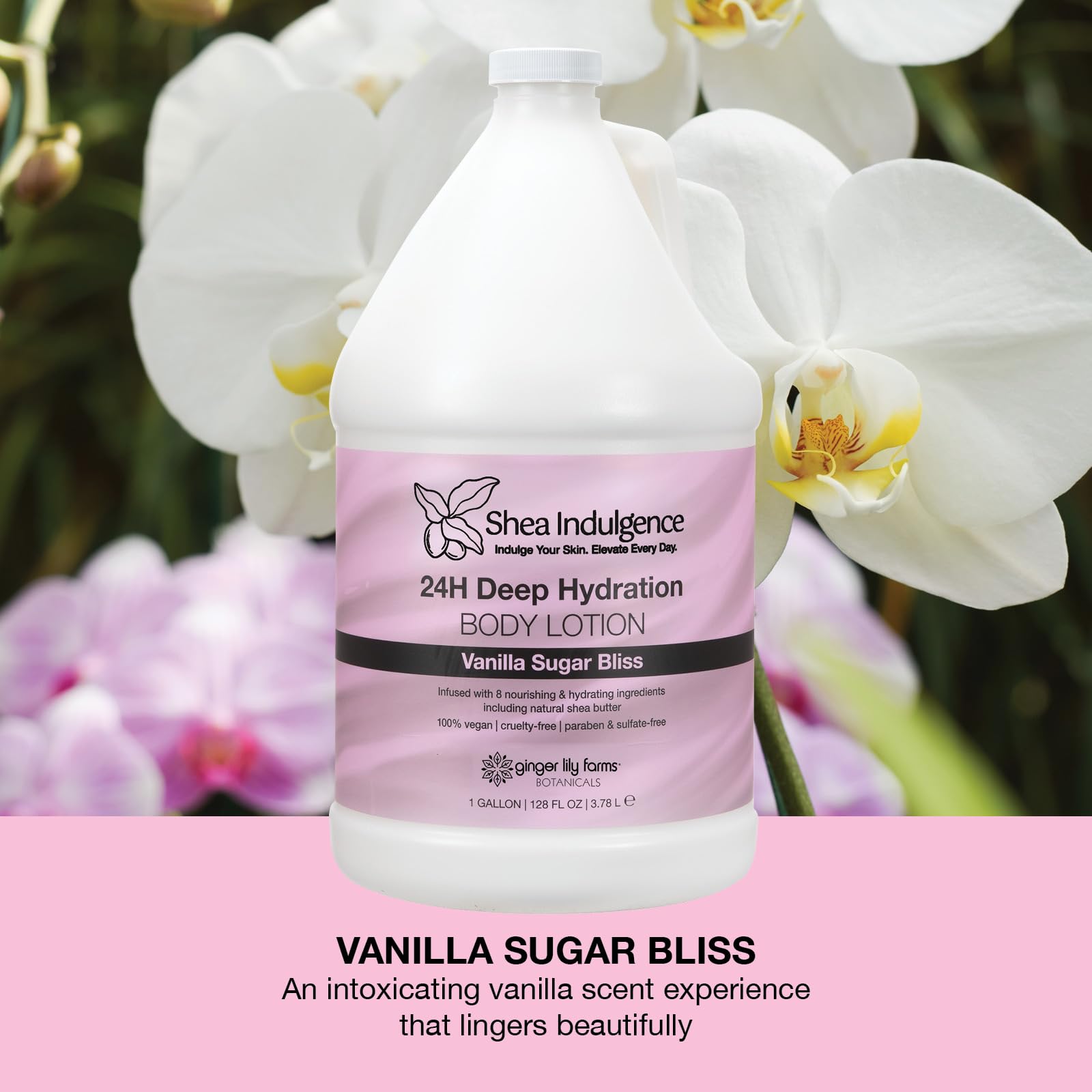 Ginger Lily Farms Shea Indulgence 24H Deep Hydration Body Lotion – Vanilla Sugar Bliss, 1 Gallon Refill