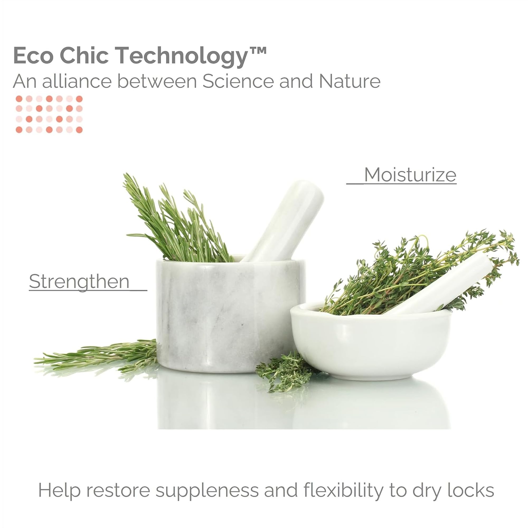 GIOVANNI Eco Chic 50:50 Balanced Hydrating Shampoo & Conditioner Set - pH Balanced, Color Safe, Paraben Free, 1 gal (2 Pack)