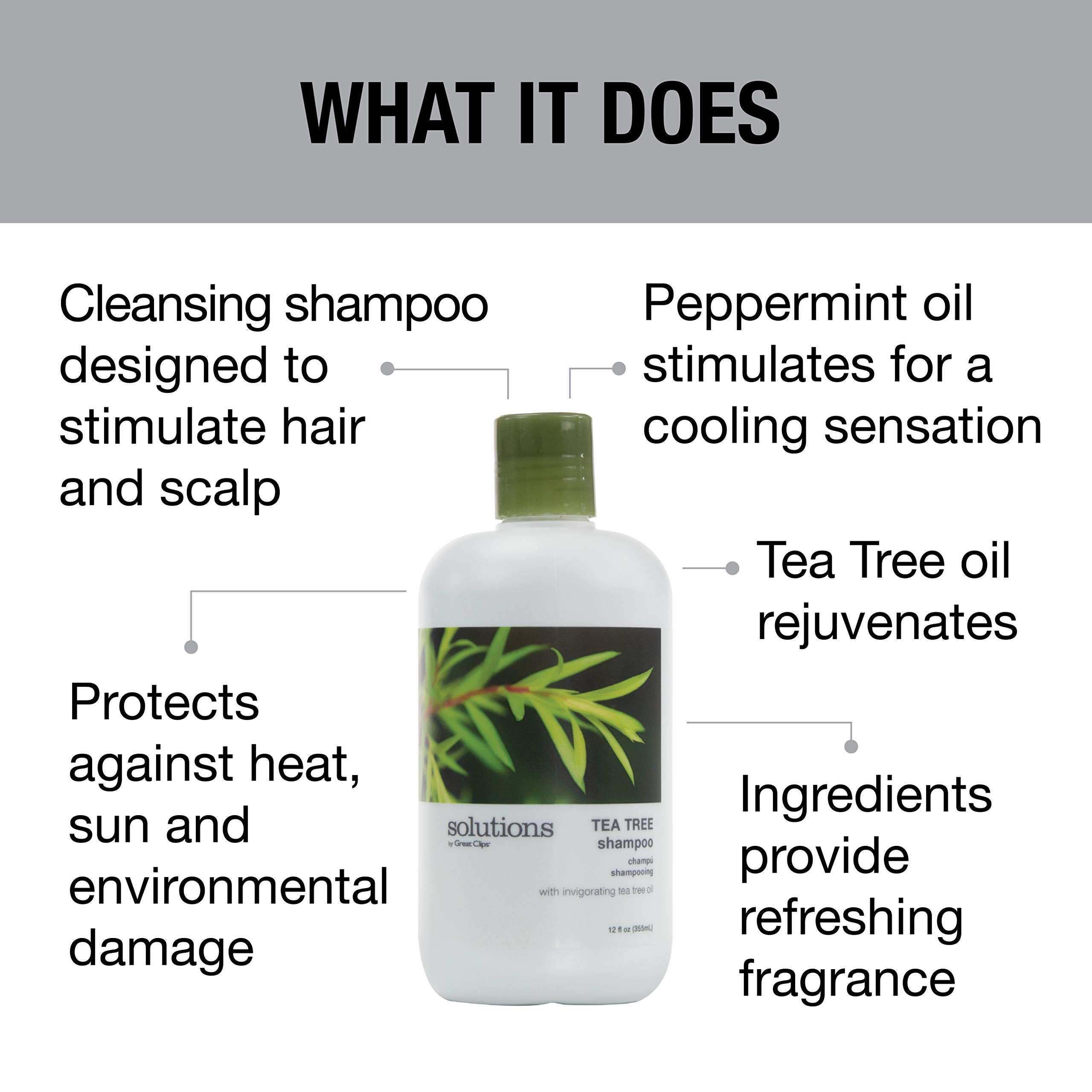 GREAT CLIPS Tea Tree Shampoo 12 fl oz | Hydrates, Invigorates Scalp for All Hair Types